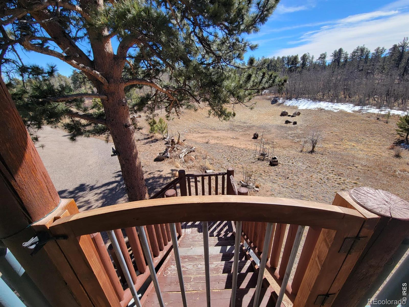 MLS Image #4 for 2225 n county road 73c ,red feather lakes, Colorado