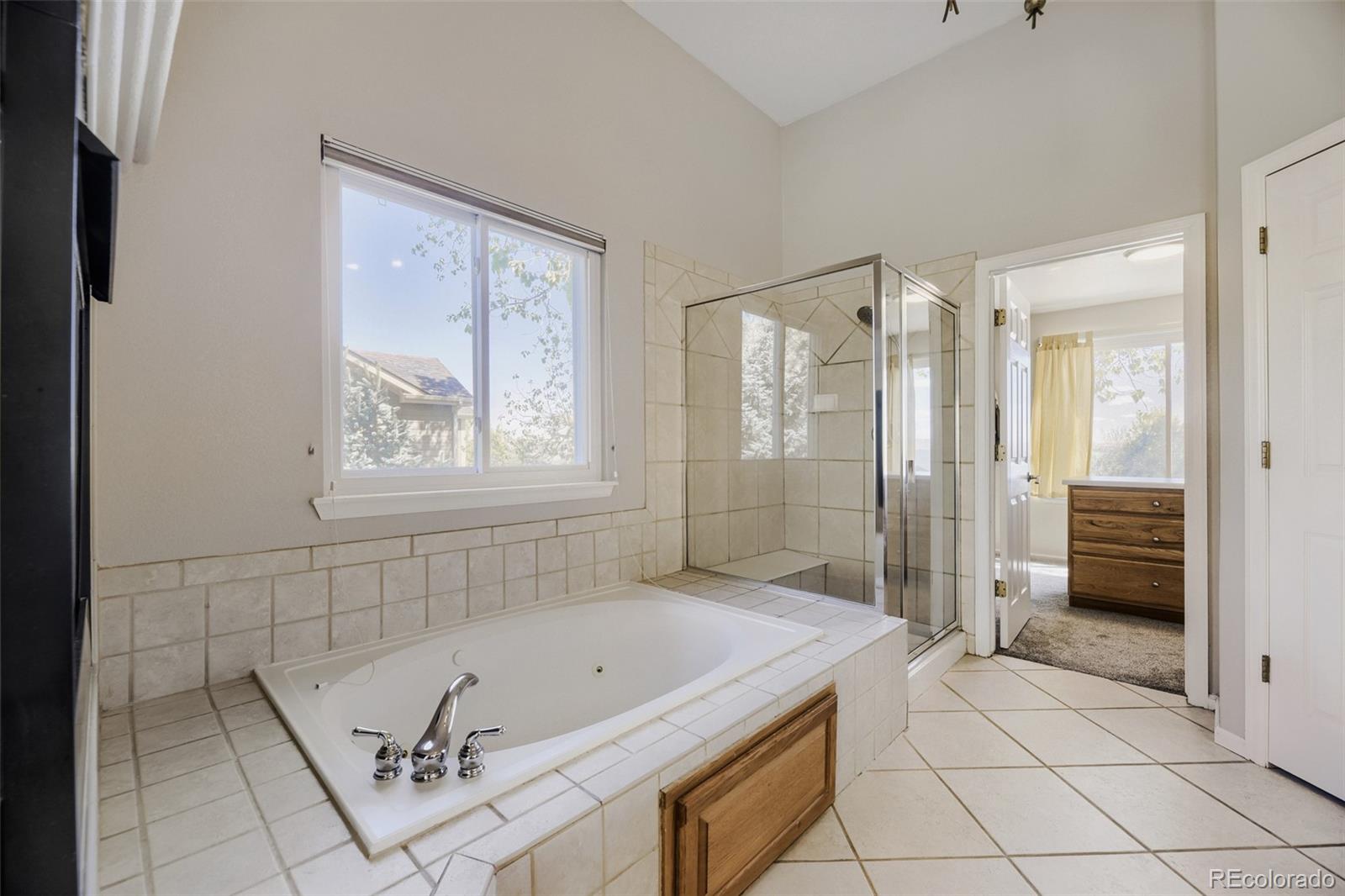 MLS Image #18 for 7179  red mesa drive,littleton, Colorado