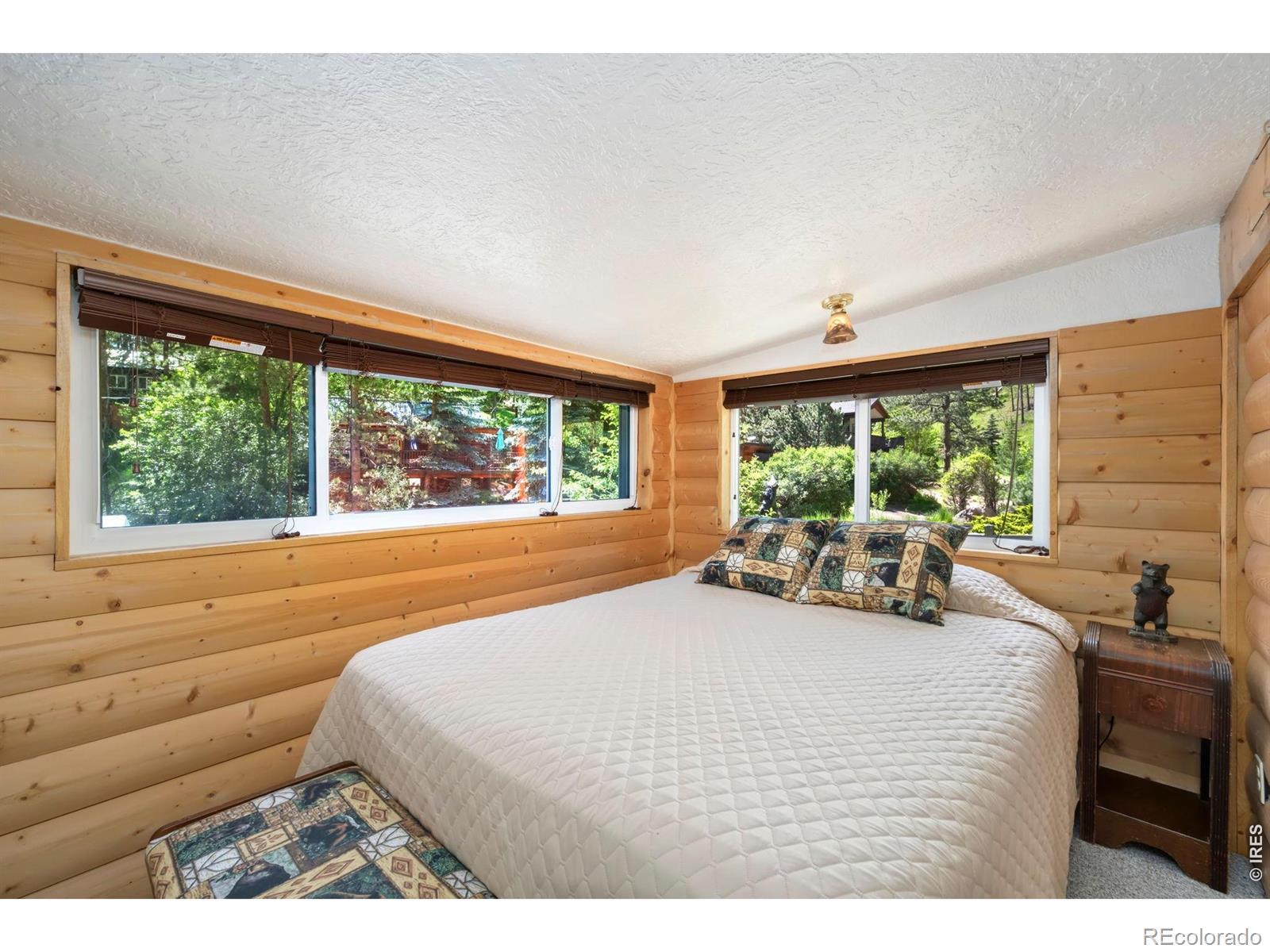 MLS Image #11 for 47  falls creek drive,bellvue, Colorado