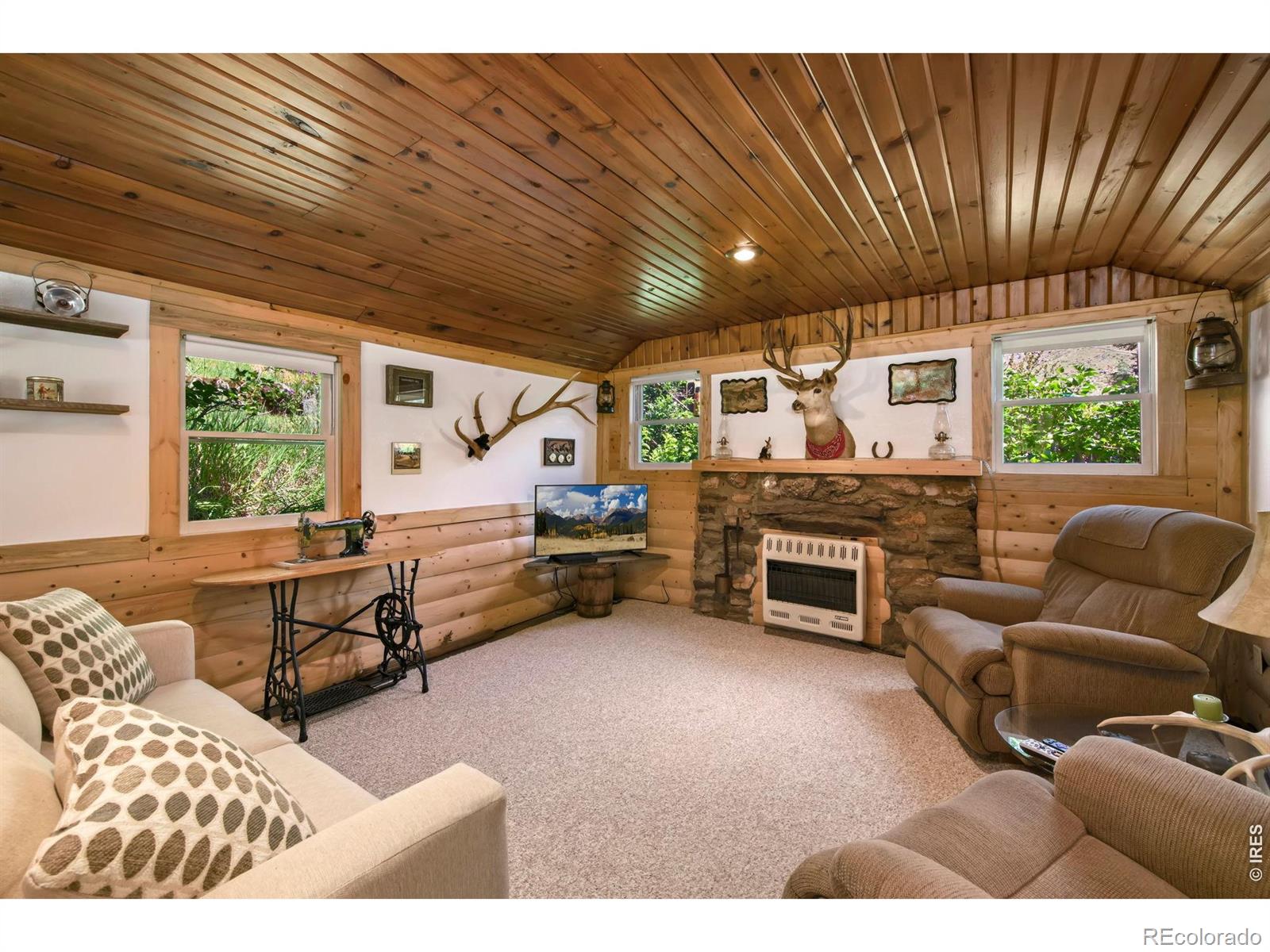 MLS Image #6 for 47  falls creek drive,bellvue, Colorado