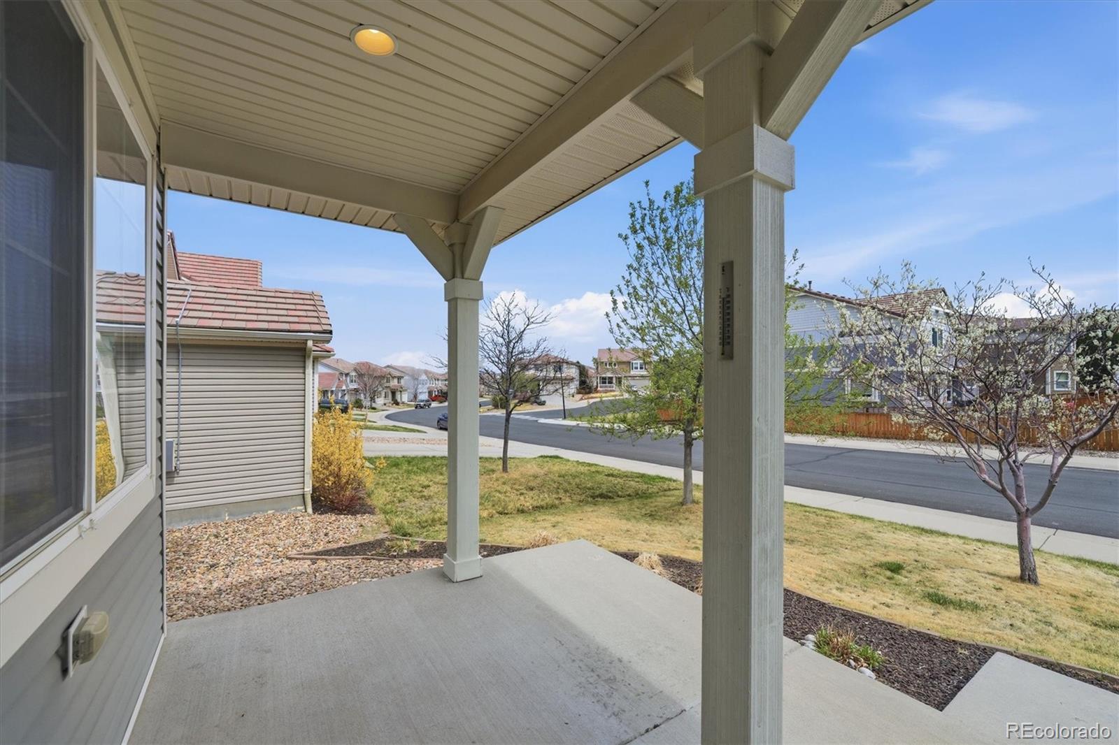 MLS Image #3 for 2173  cactus bloom court,castle rock, Colorado