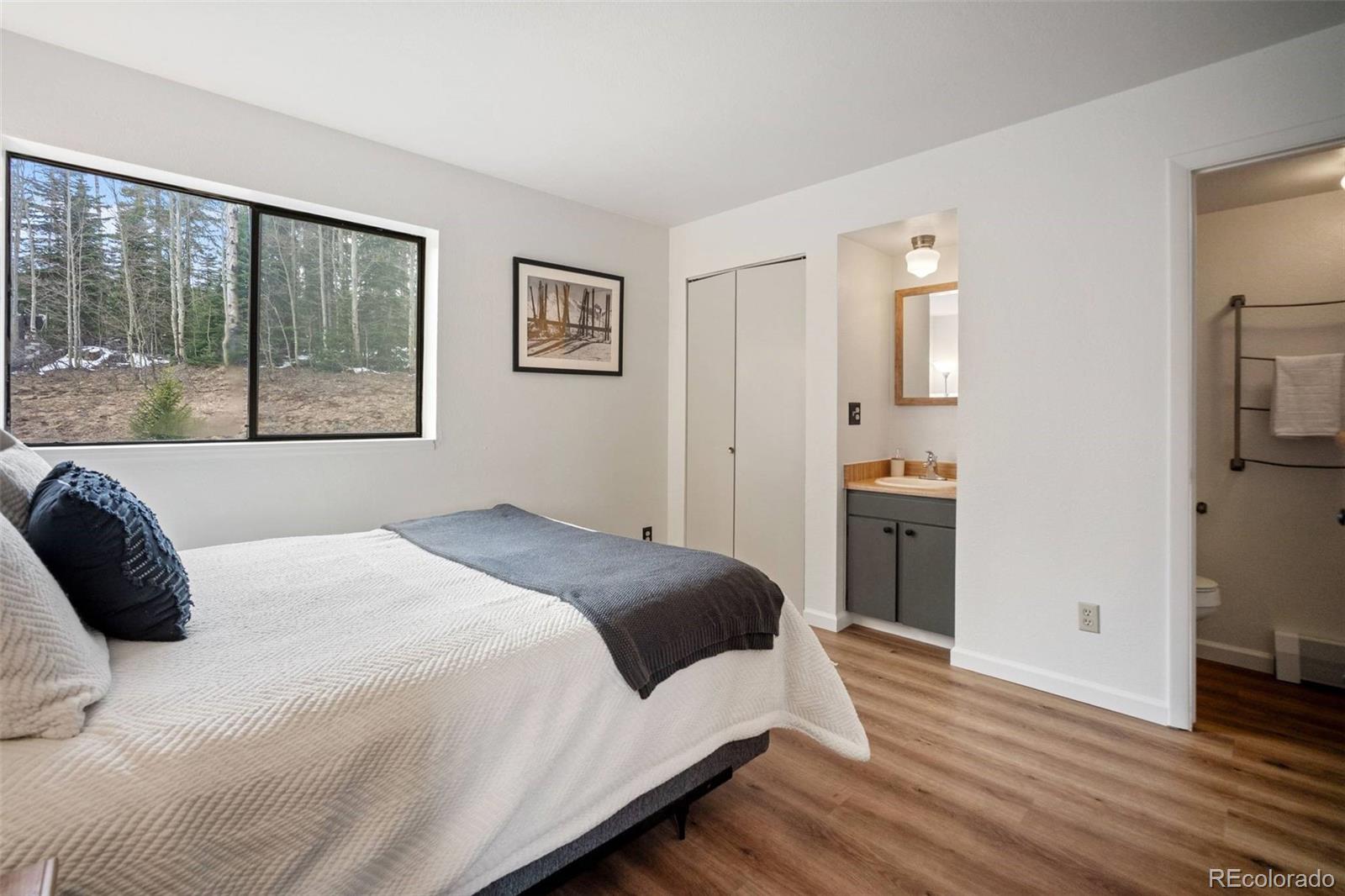 MLS Image #18 for 9876  ryan gulch road,silverthorne, Colorado
