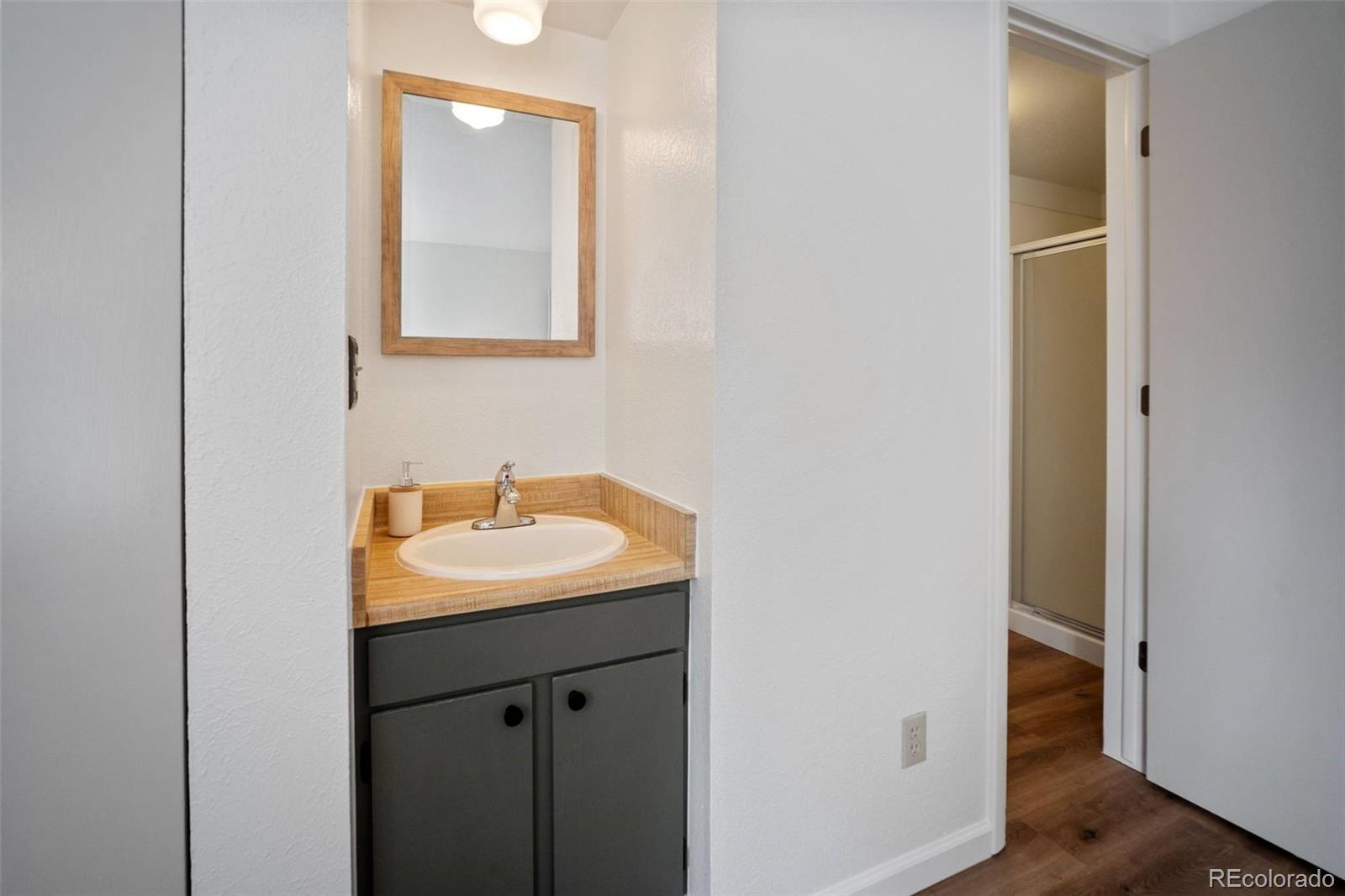 MLS Image #20 for 9876  ryan gulch road,silverthorne, Colorado