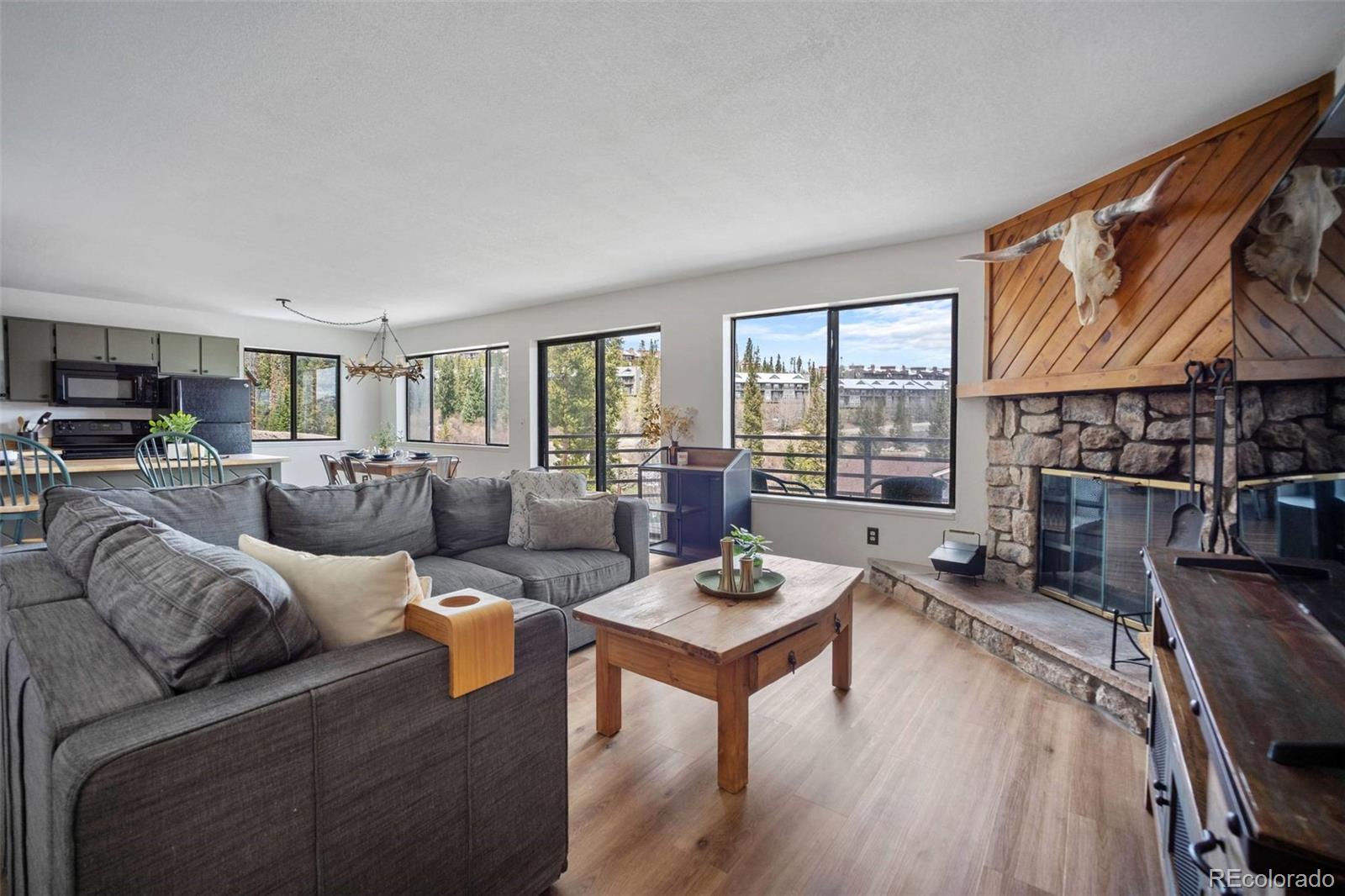 MLS Image #3 for 9876  ryan gulch road,silverthorne, Colorado