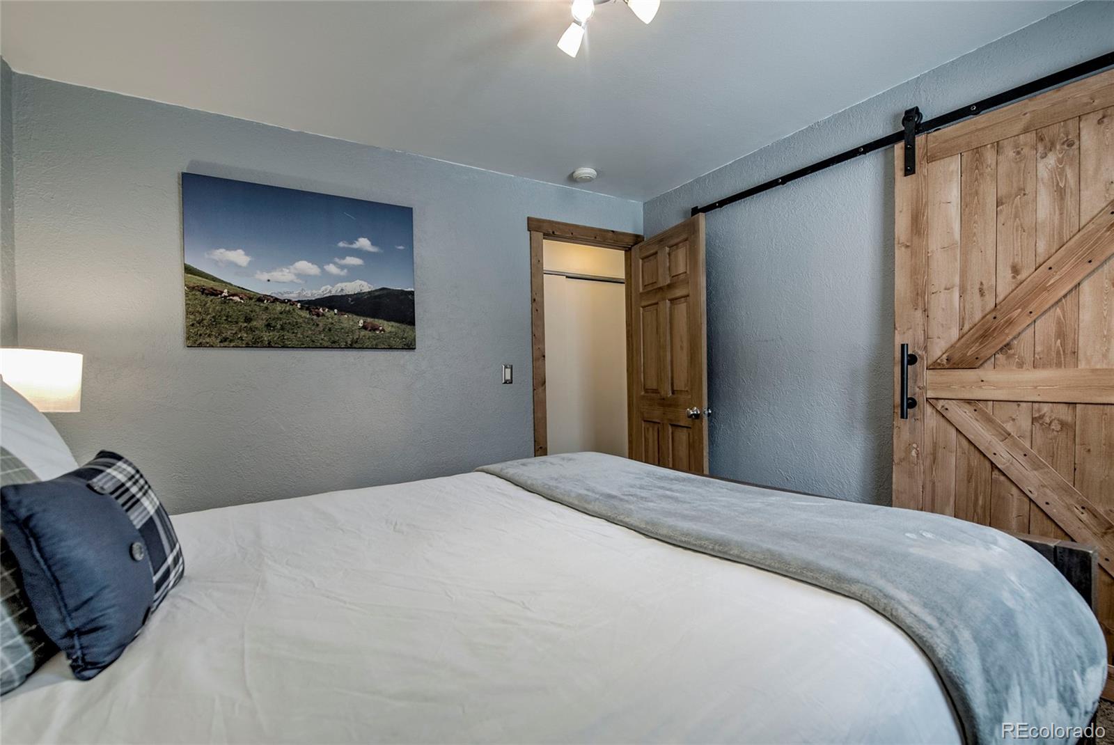 MLS Image #21 for 214 s harris street,breckenridge, Colorado