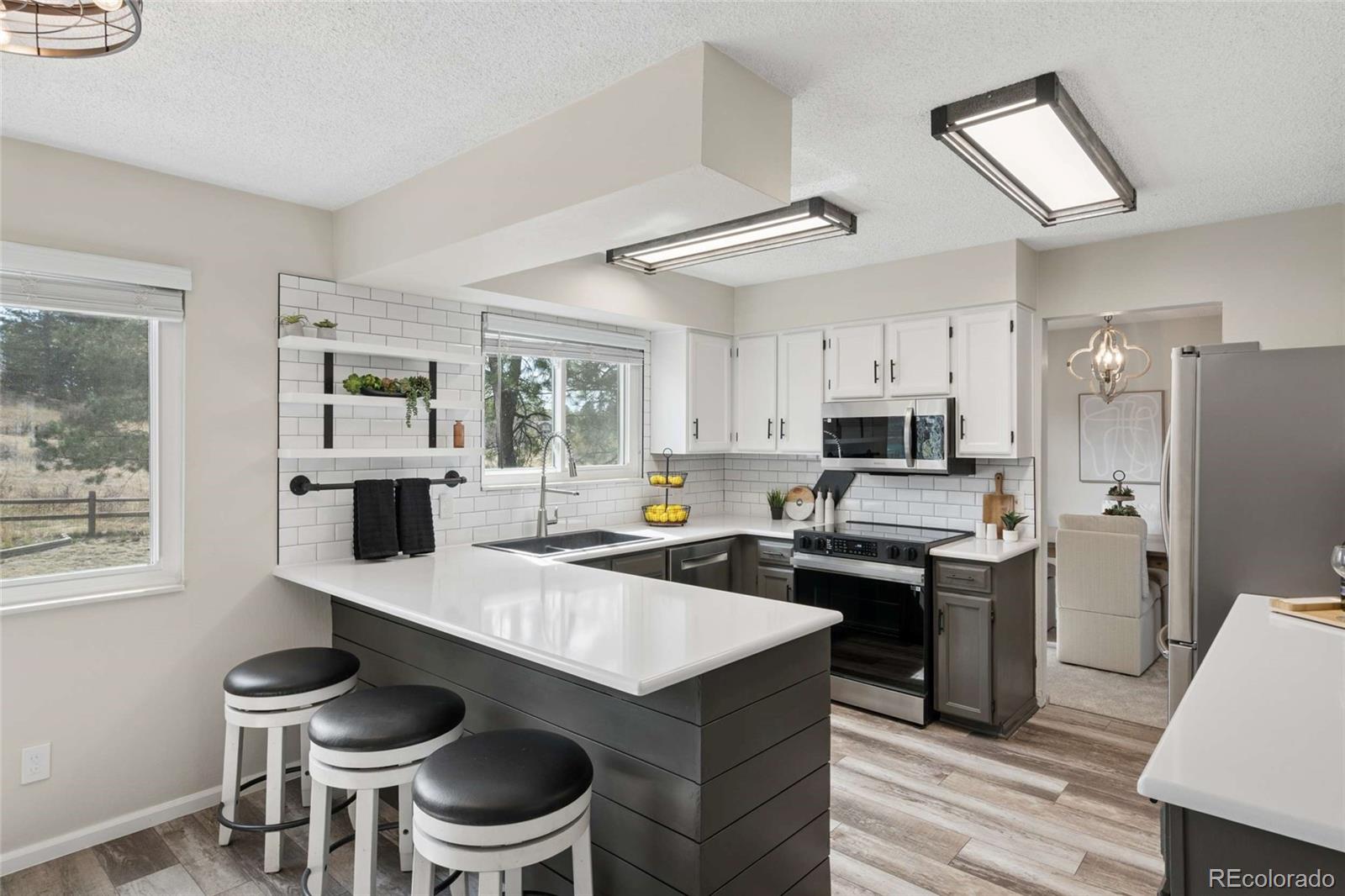 MLS Image #10 for 7420  windwood way,parker, Colorado