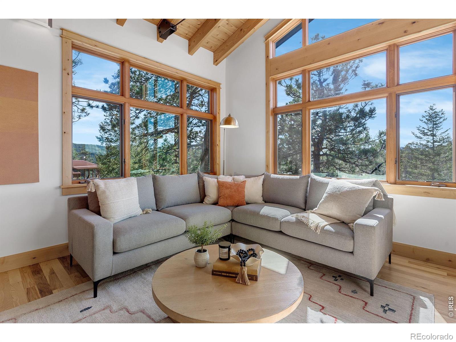 MLS Image #18 for 3725  ridge road,nederland, Colorado