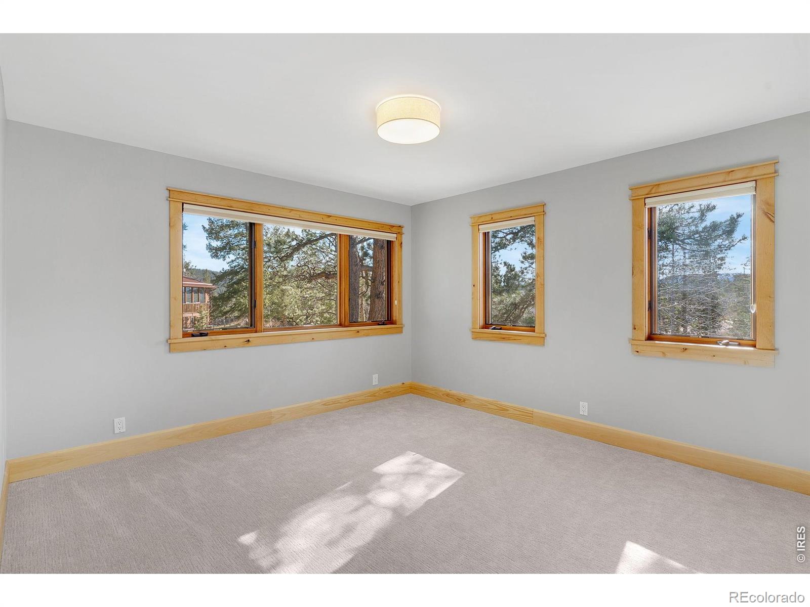 MLS Image #37 for 3725  ridge road,nederland, Colorado