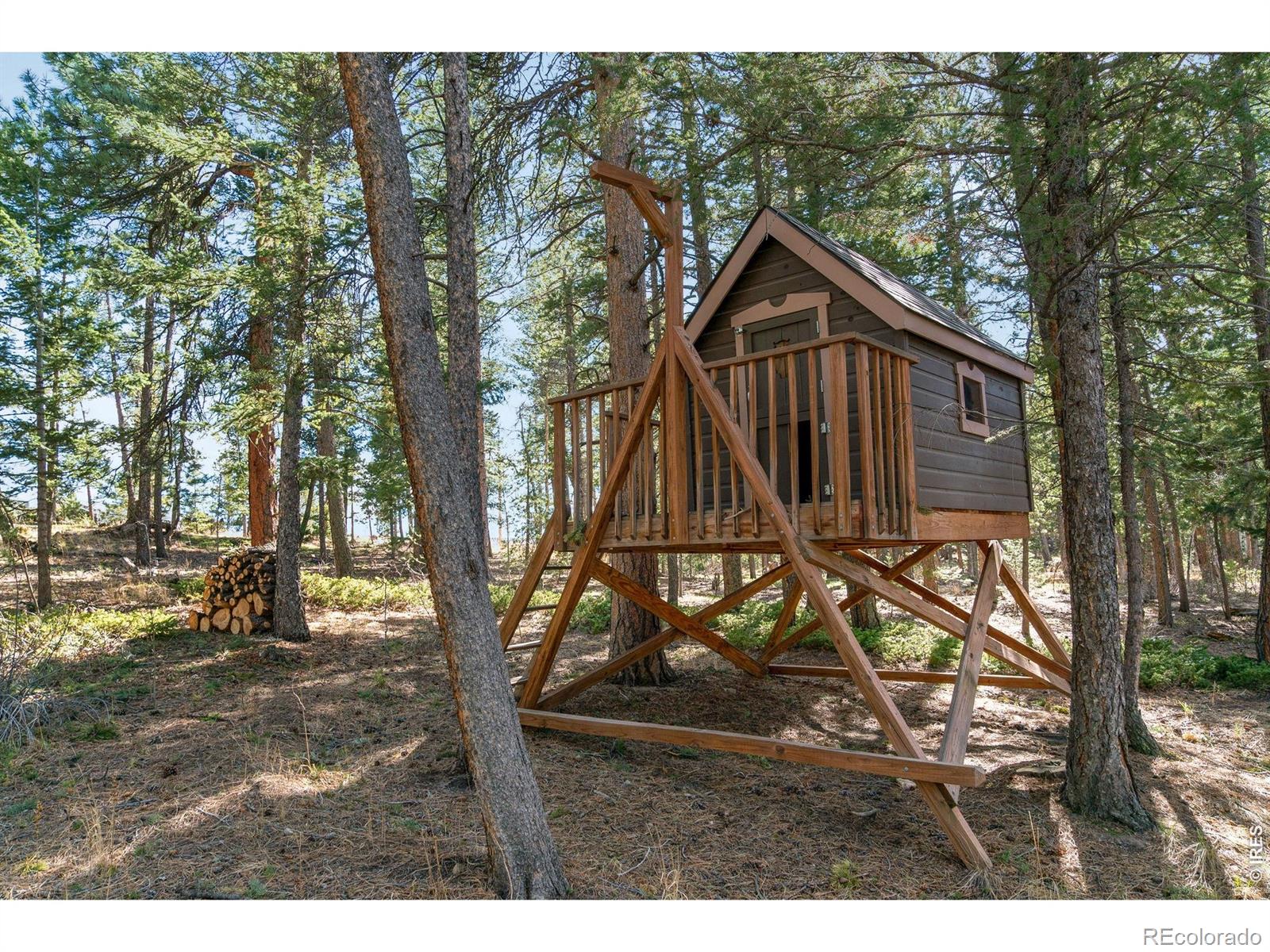 MLS Image #41 for 3725  ridge road,nederland, Colorado