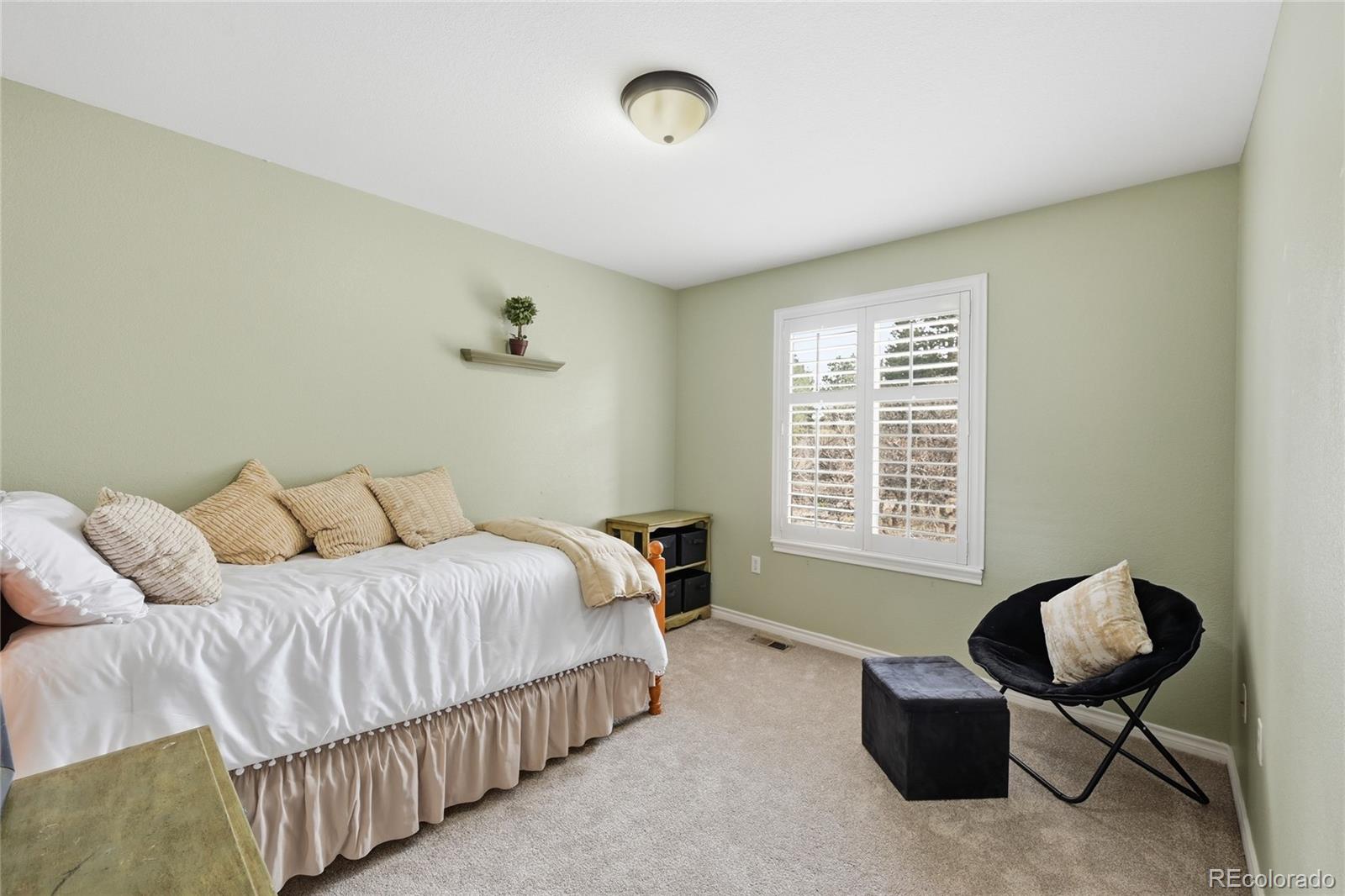 MLS Image #26 for 5822  irish pat murphy drive,parker, Colorado