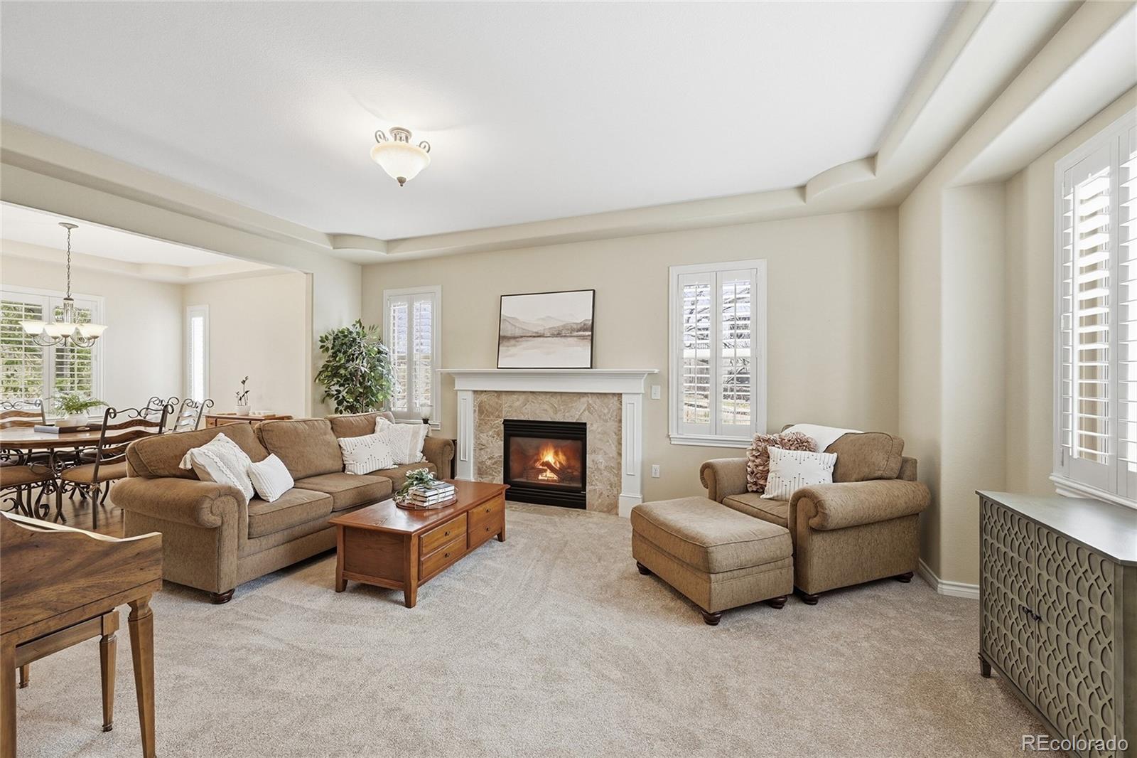 MLS Image #4 for 5822  irish pat murphy drive,parker, Colorado