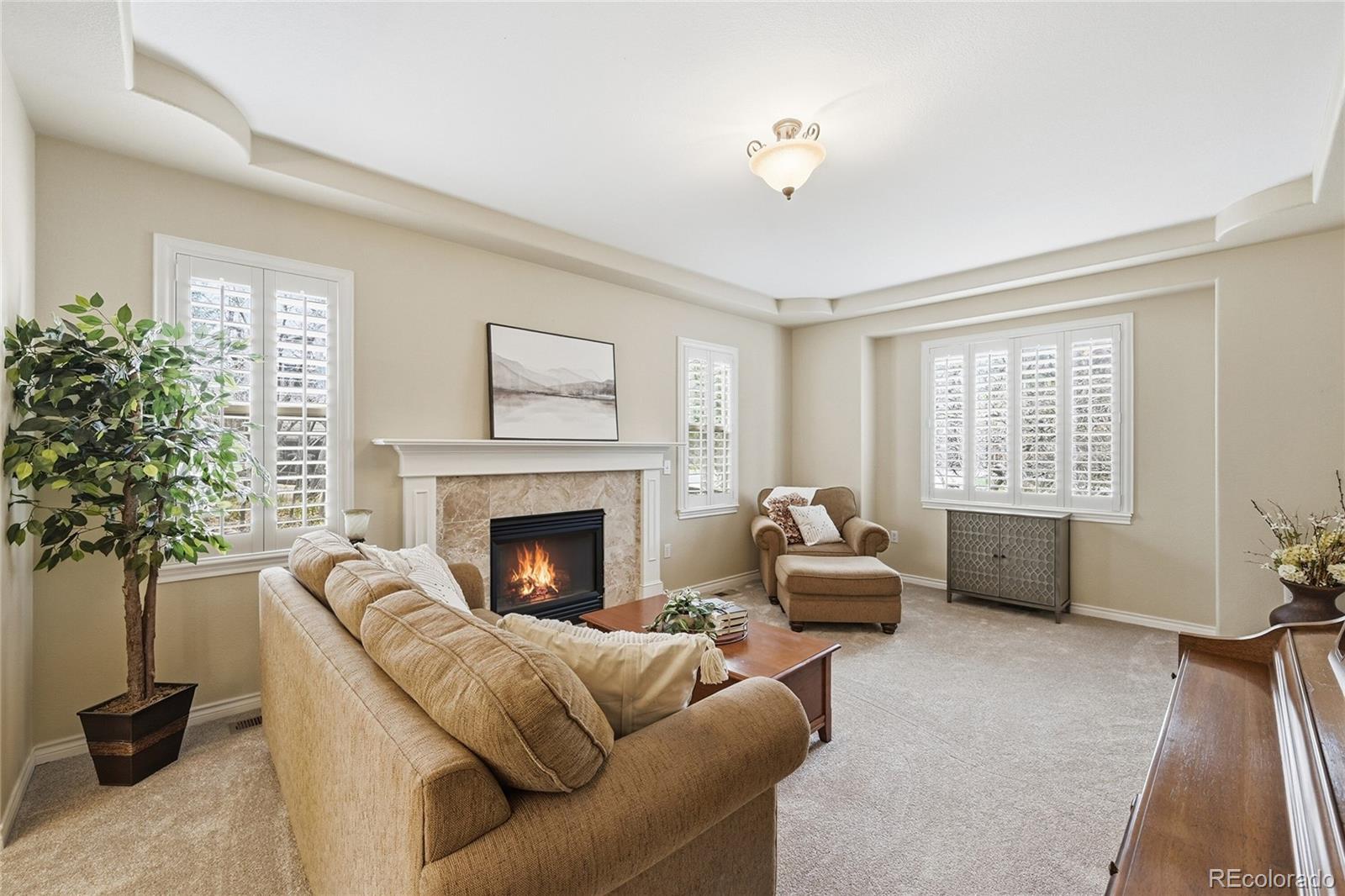 MLS Image #5 for 5822  irish pat murphy drive,parker, Colorado