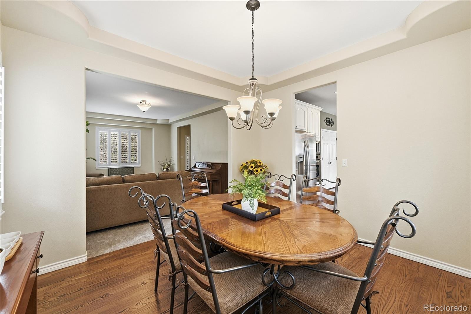 MLS Image #7 for 5822  irish pat murphy drive,parker, Colorado