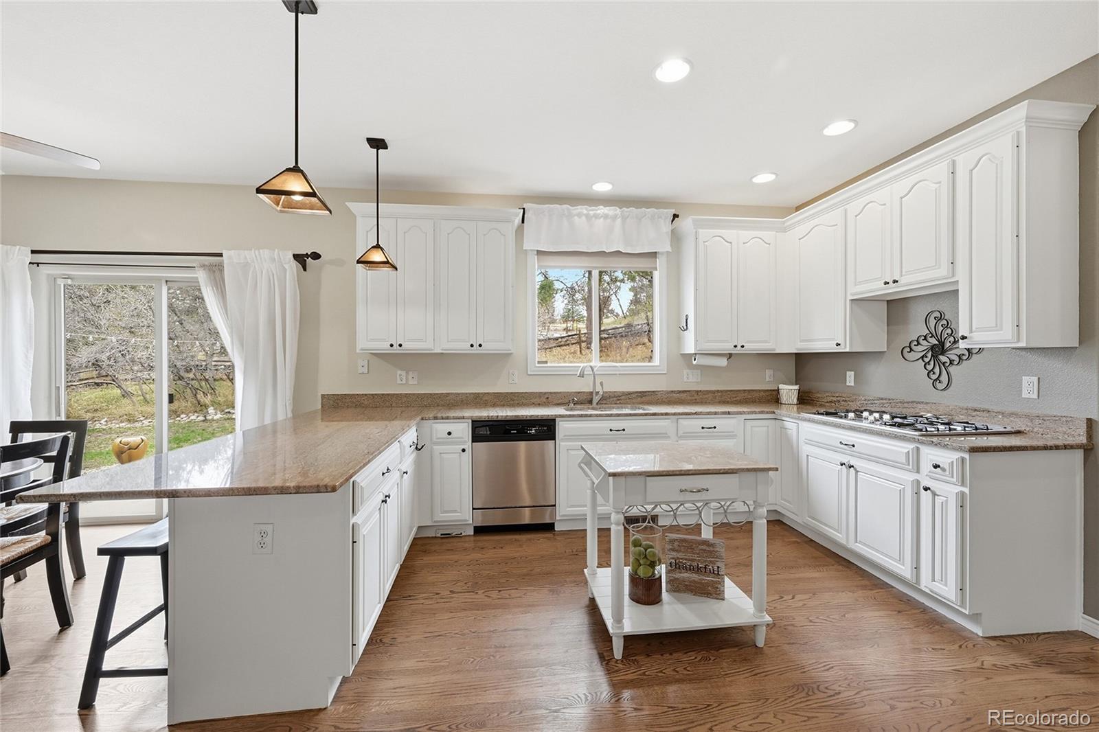 MLS Image #8 for 5822  irish pat murphy drive,parker, Colorado
