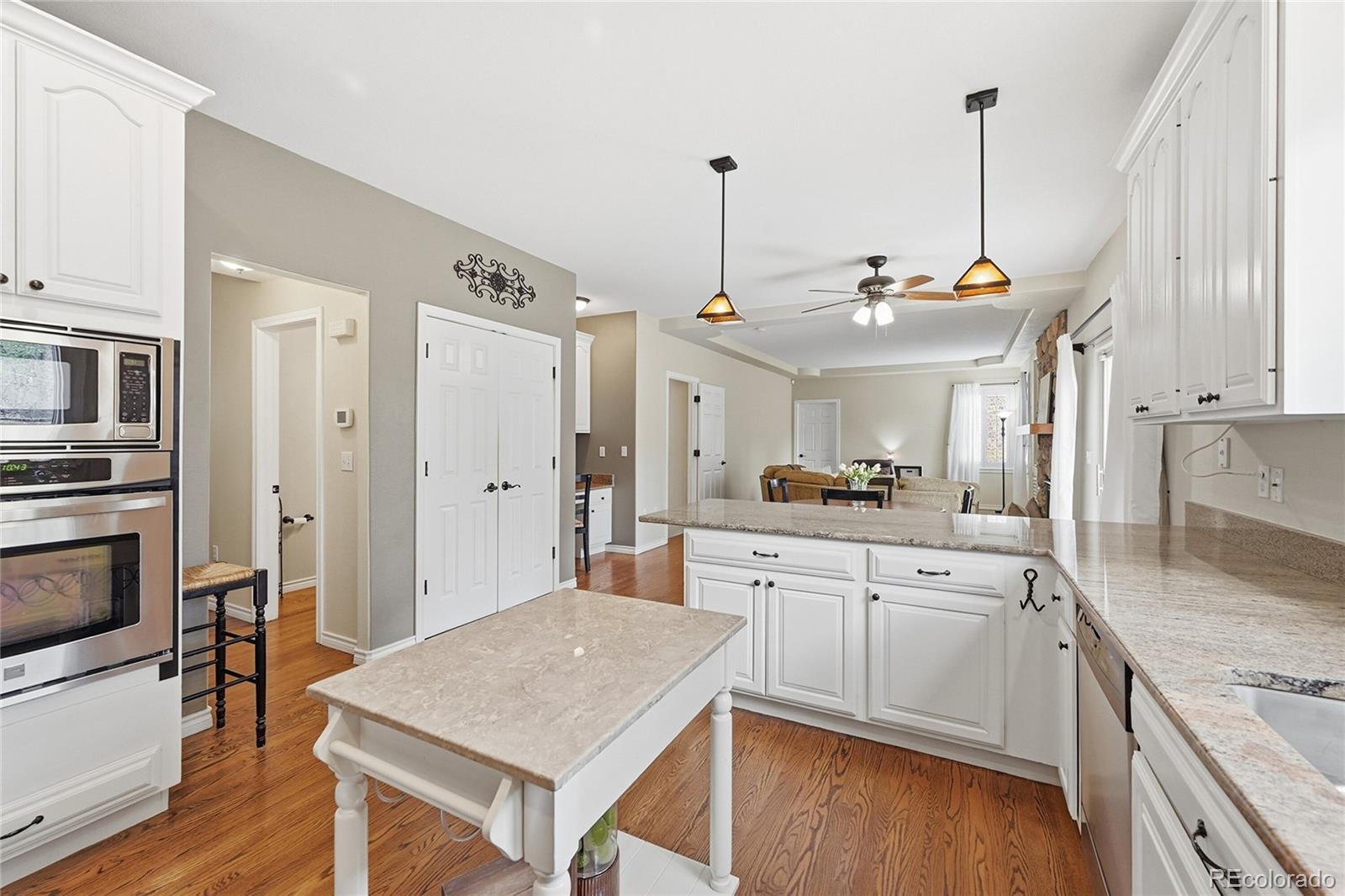 MLS Image #9 for 5822  irish pat murphy drive,parker, Colorado