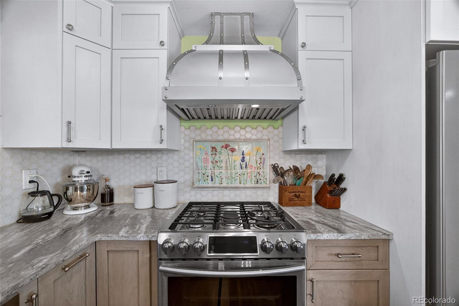 MLS Image #13 for 7278  union court,arvada, Colorado