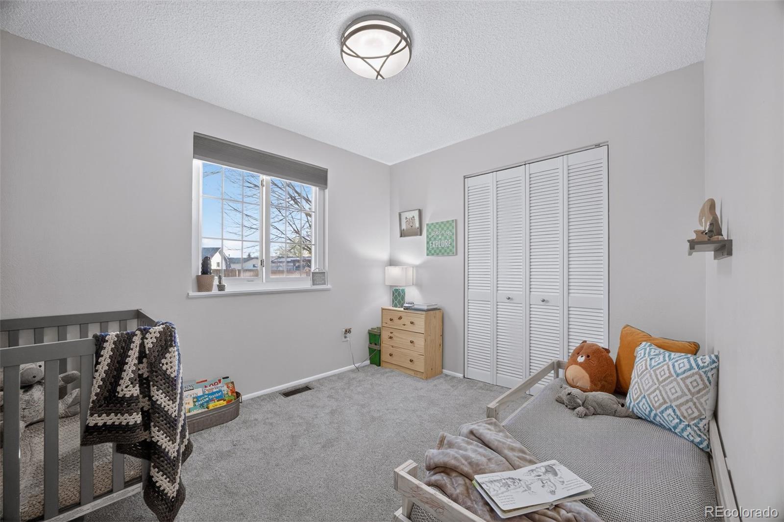 MLS Image #15 for 7278  union court,arvada, Colorado