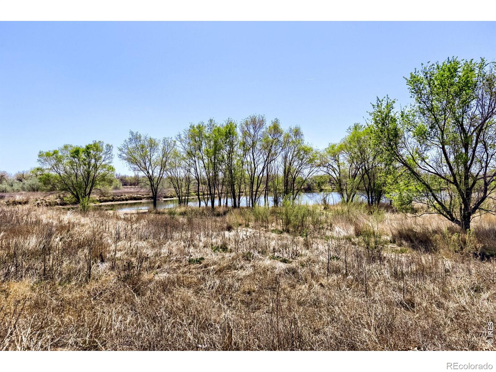 MLS Image #2 for 2958  ash avenue,greeley, Colorado