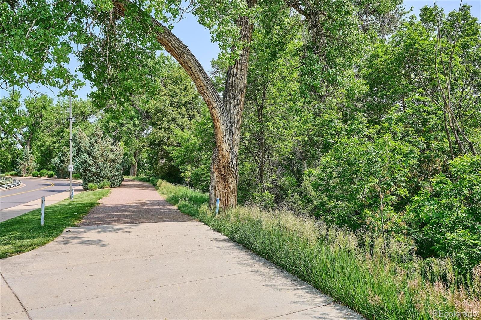 MLS Image #40 for 5929 s steele street,centennial, Colorado