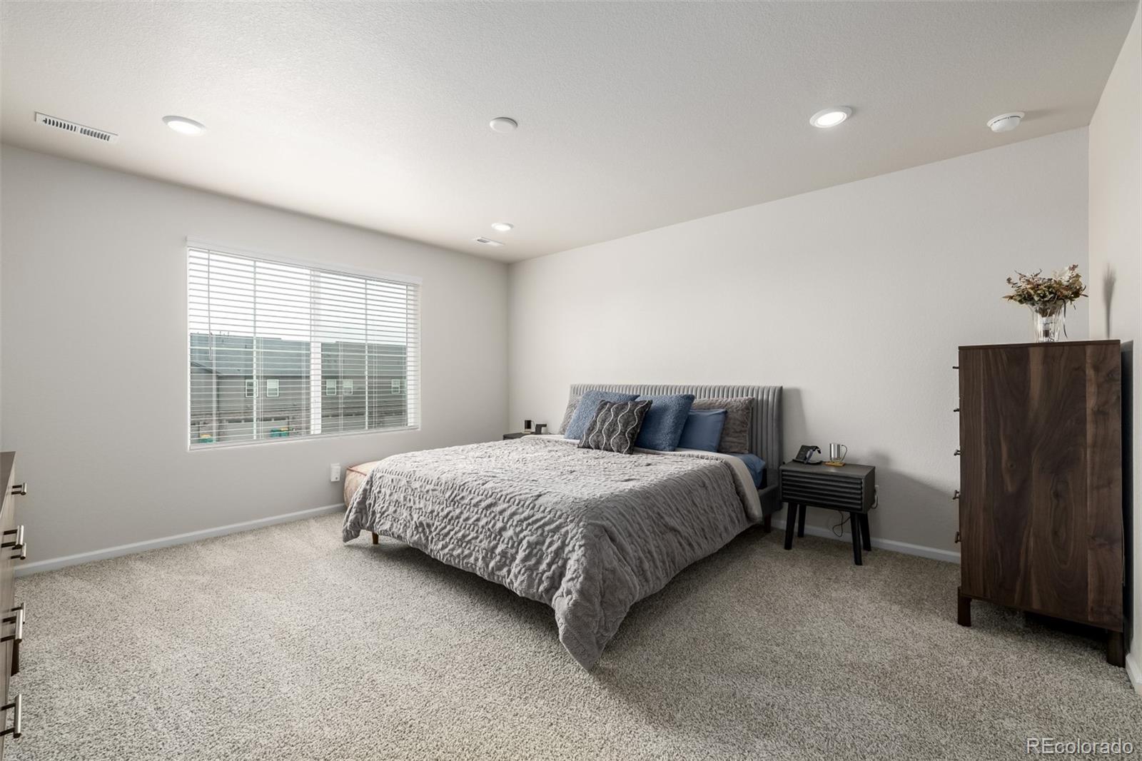 MLS Image #13 for 20952 e 66th avenue,aurora, Colorado