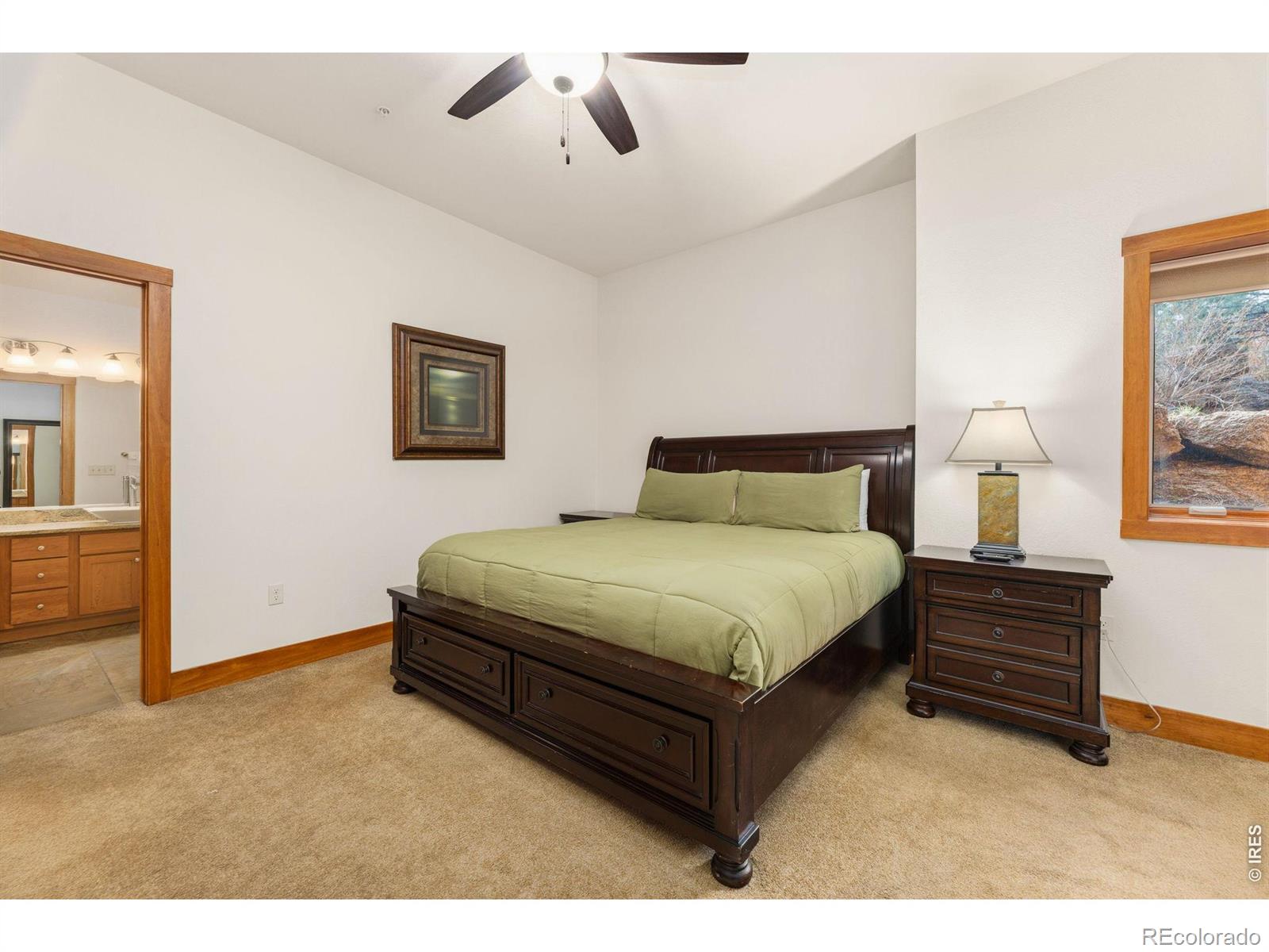 MLS Image #17 for 199  twin owls lane,estes park, Colorado