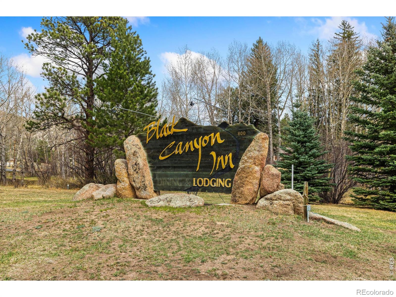 MLS Image #38 for 199  twin owls lane,estes park, Colorado