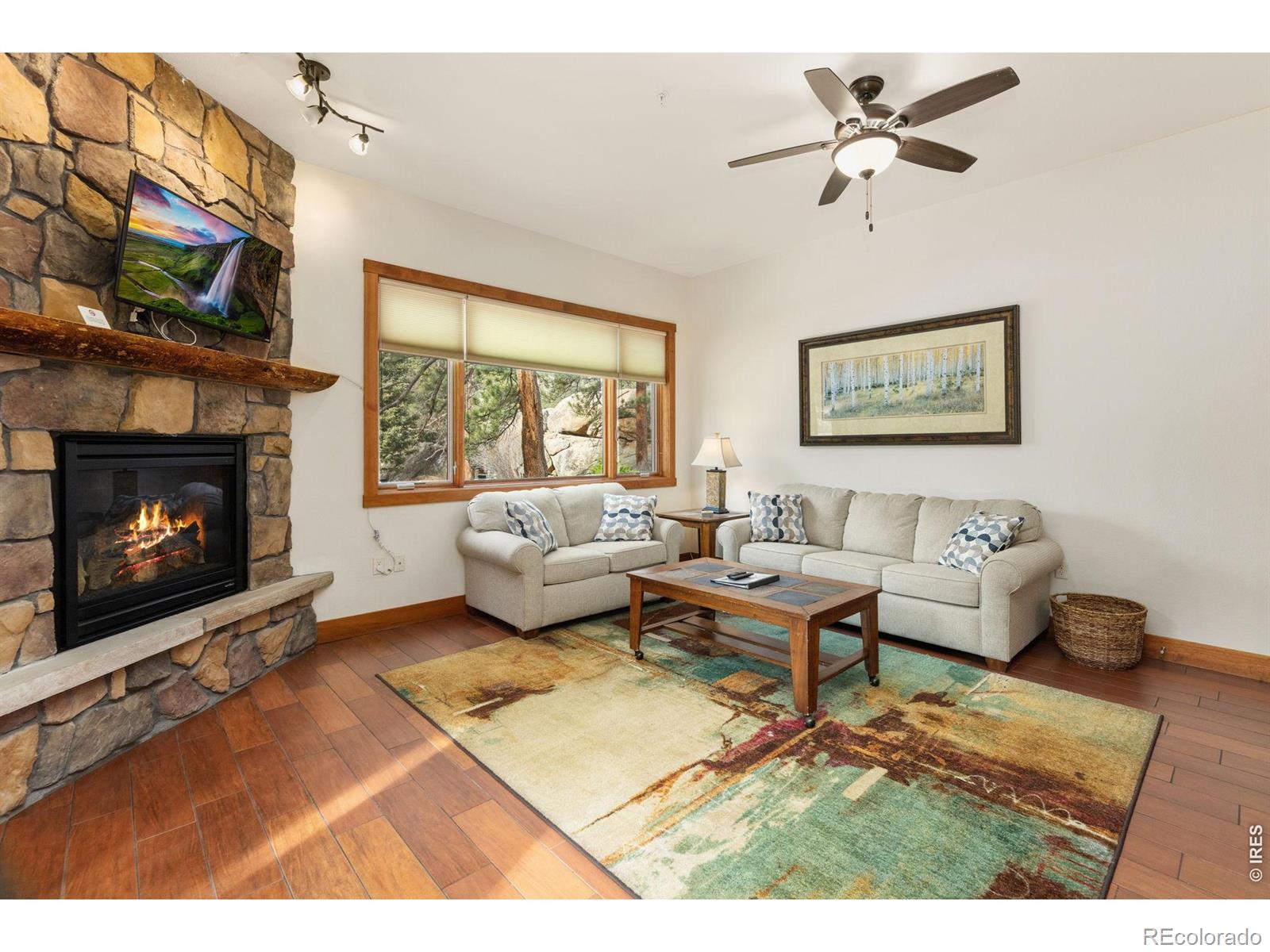 MLS Image #5 for 199  twin owls lane,estes park, Colorado