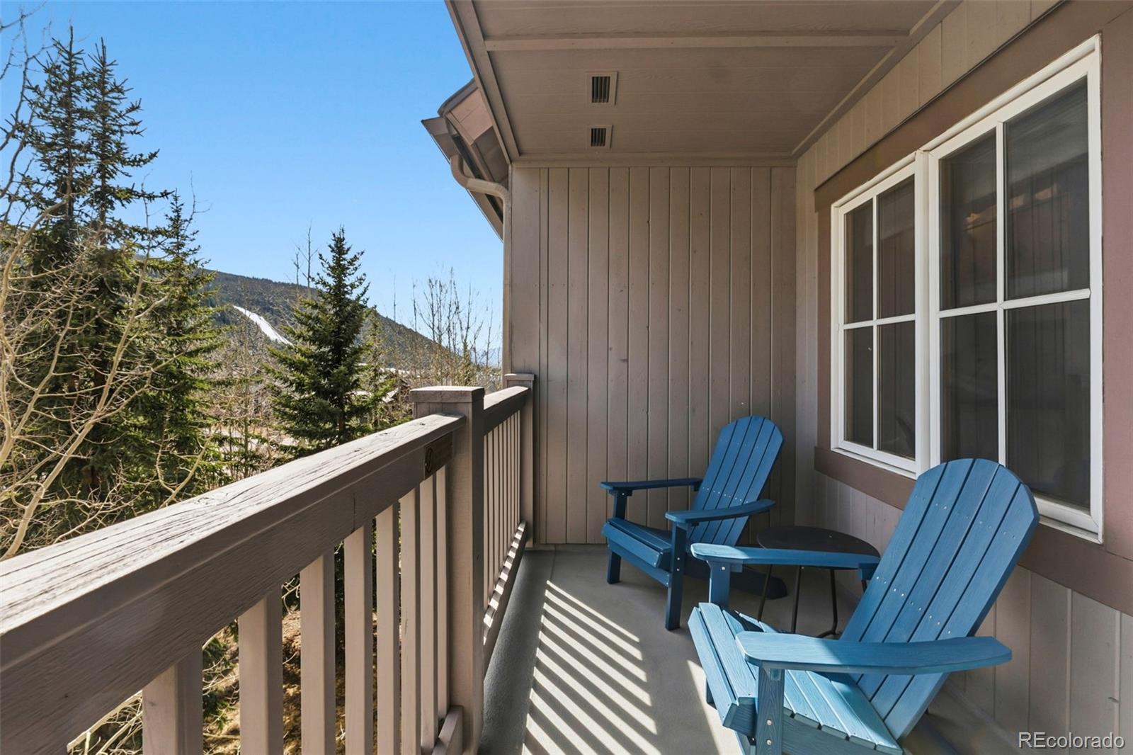 MLS Image #14 for 135  dercum drive,dillon, Colorado