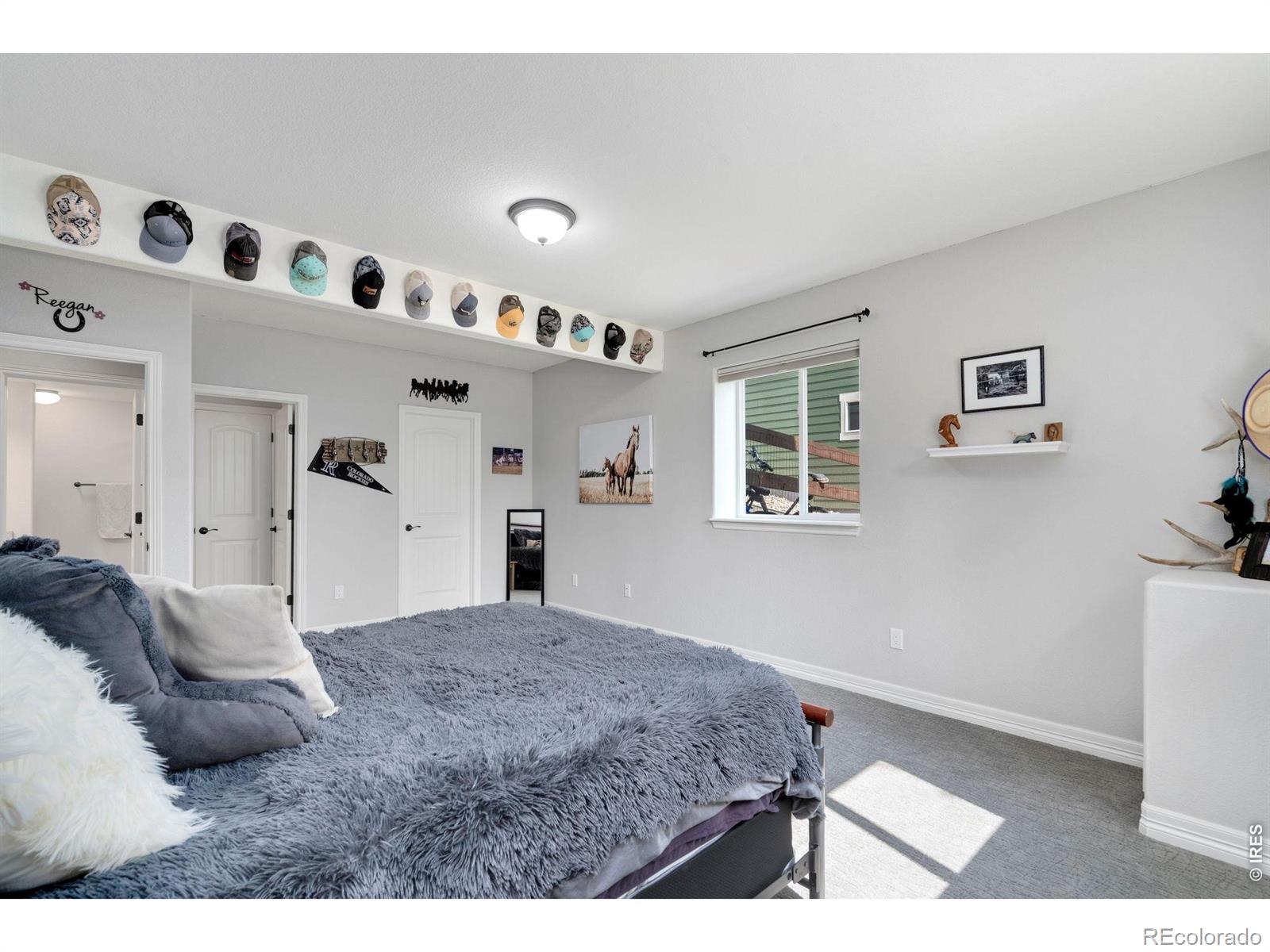 MLS Image #34 for 4726  sorrel lane,johnstown, Colorado