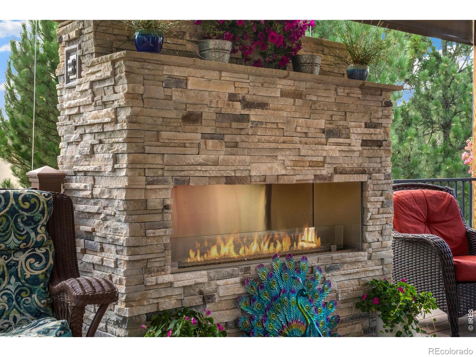 MLS Image #5 for 4726  sorrel lane,johnstown, Colorado