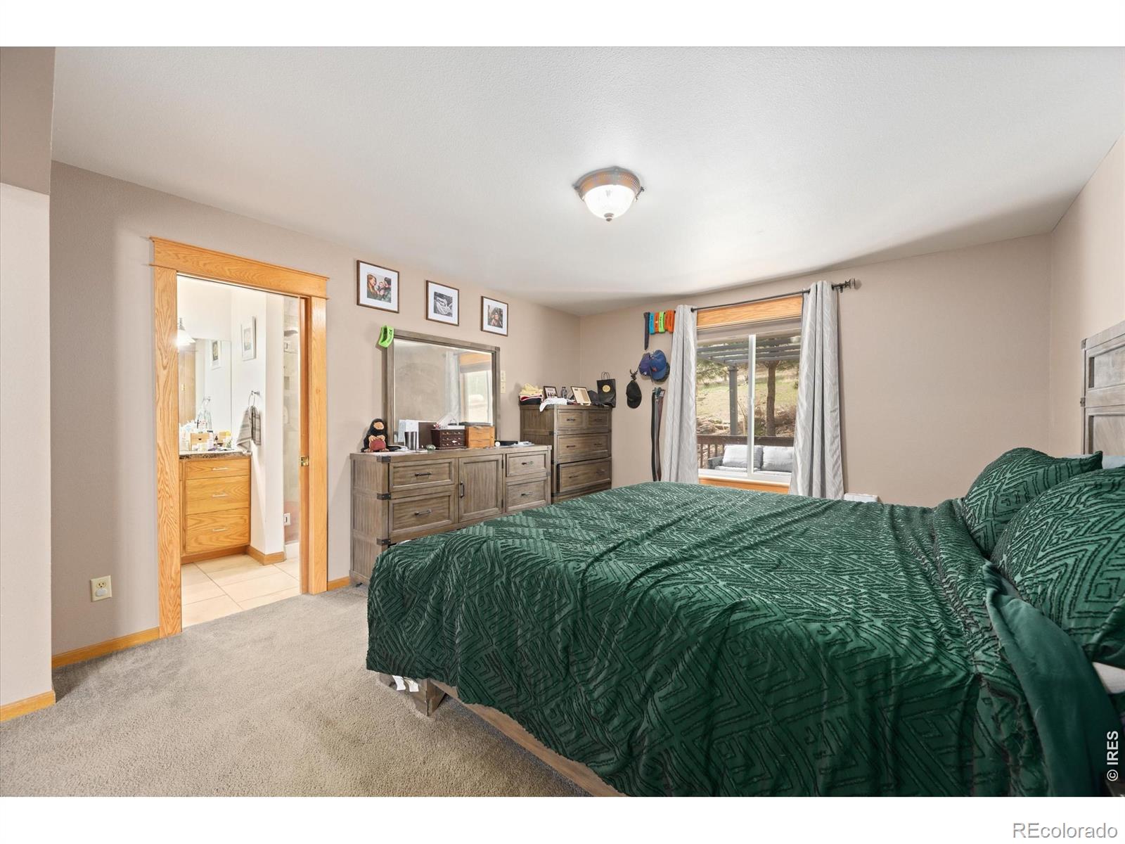MLS Image #11 for 842  unger mountain road,bellvue, Colorado