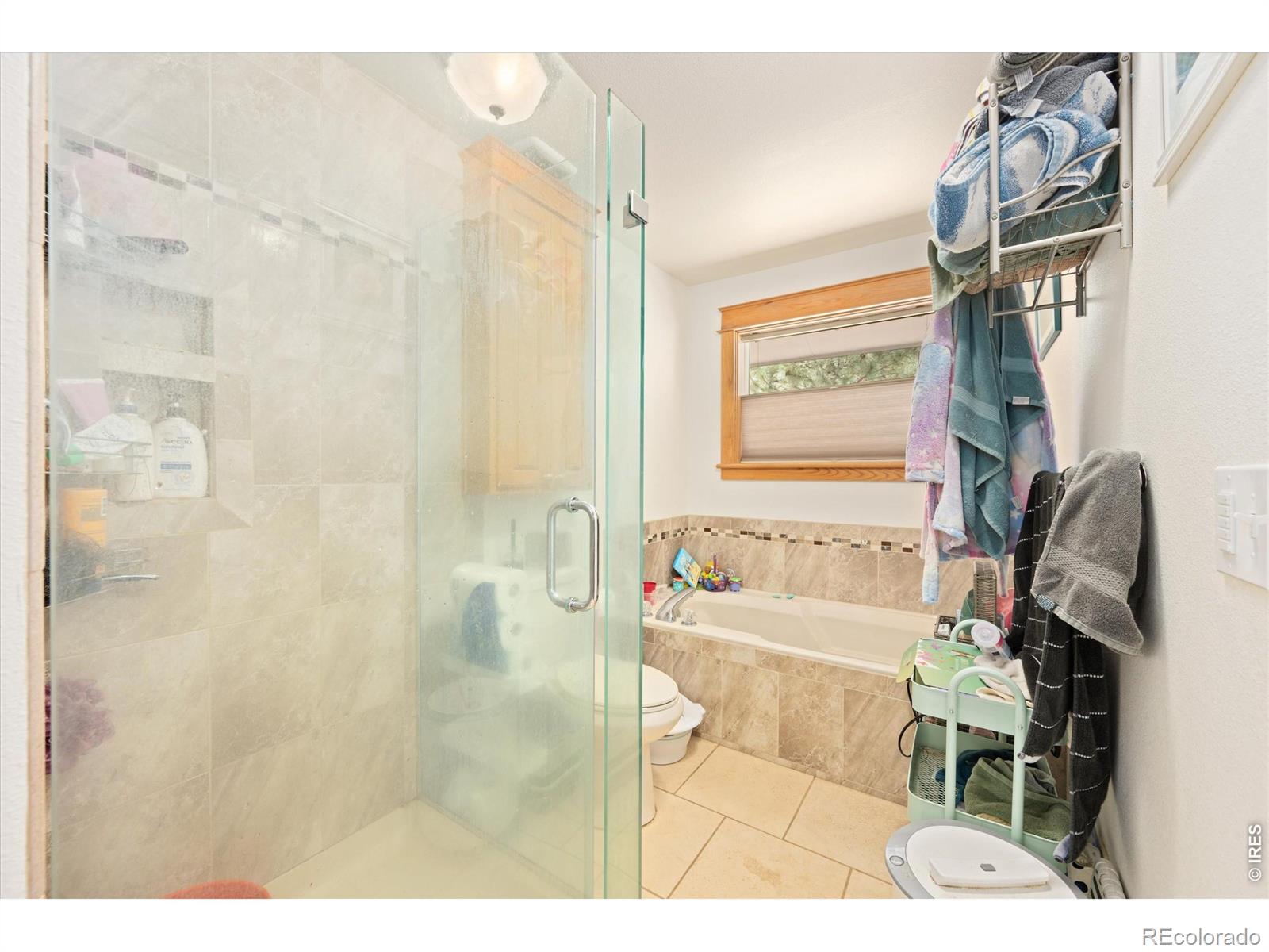 MLS Image #12 for 842  unger mountain road,bellvue, Colorado