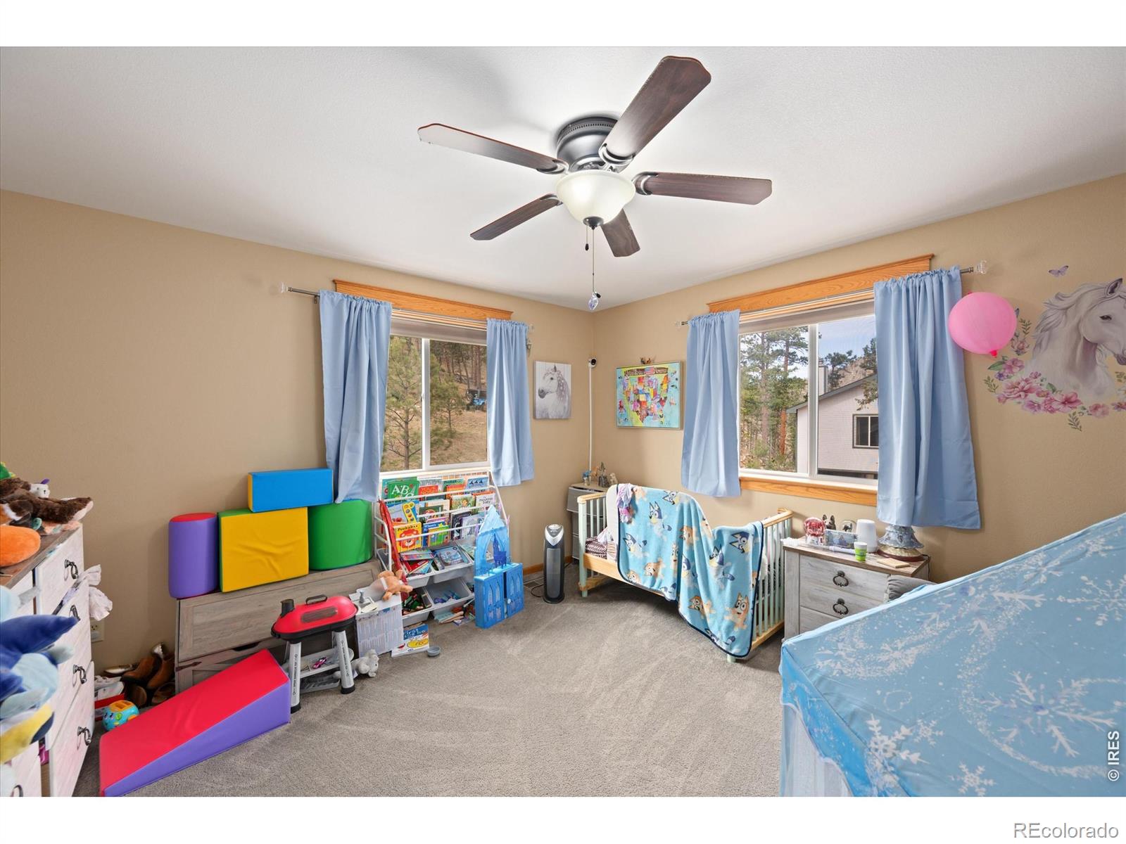 MLS Image #13 for 842  unger mountain road,bellvue, Colorado