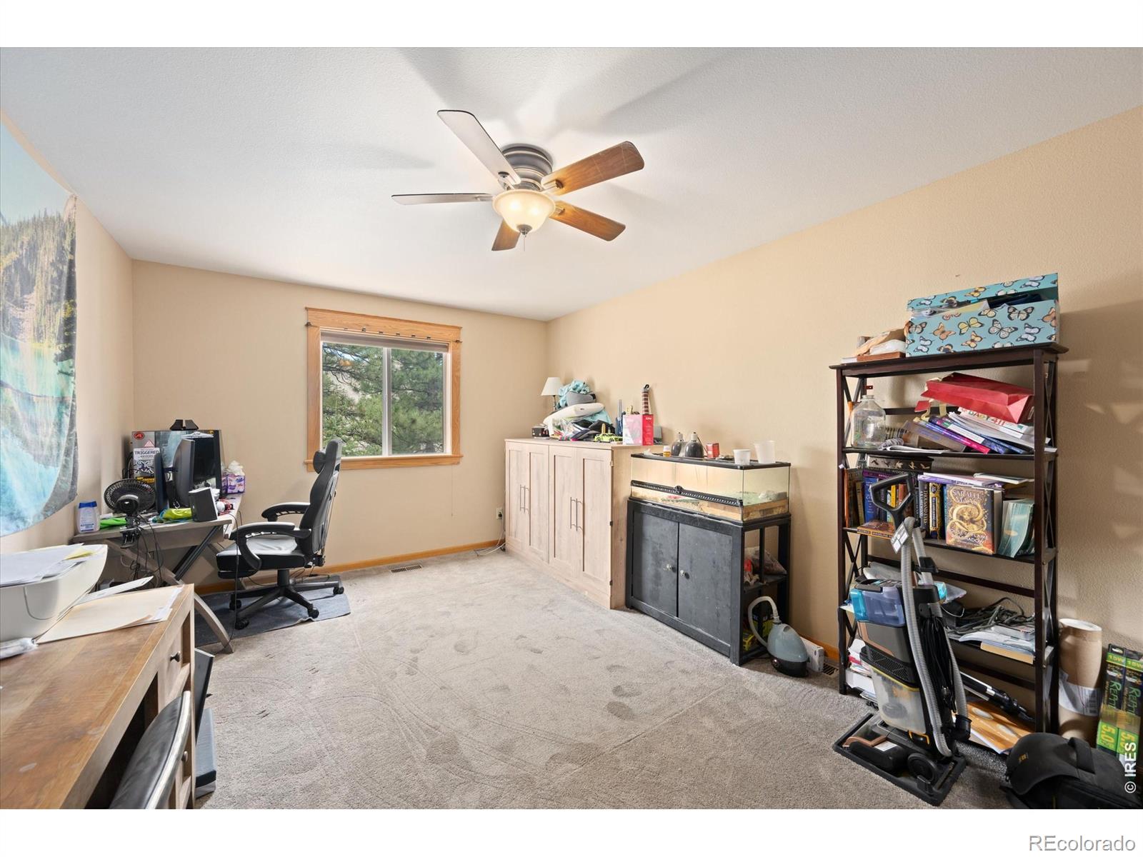 MLS Image #14 for 842  unger mountain road,bellvue, Colorado