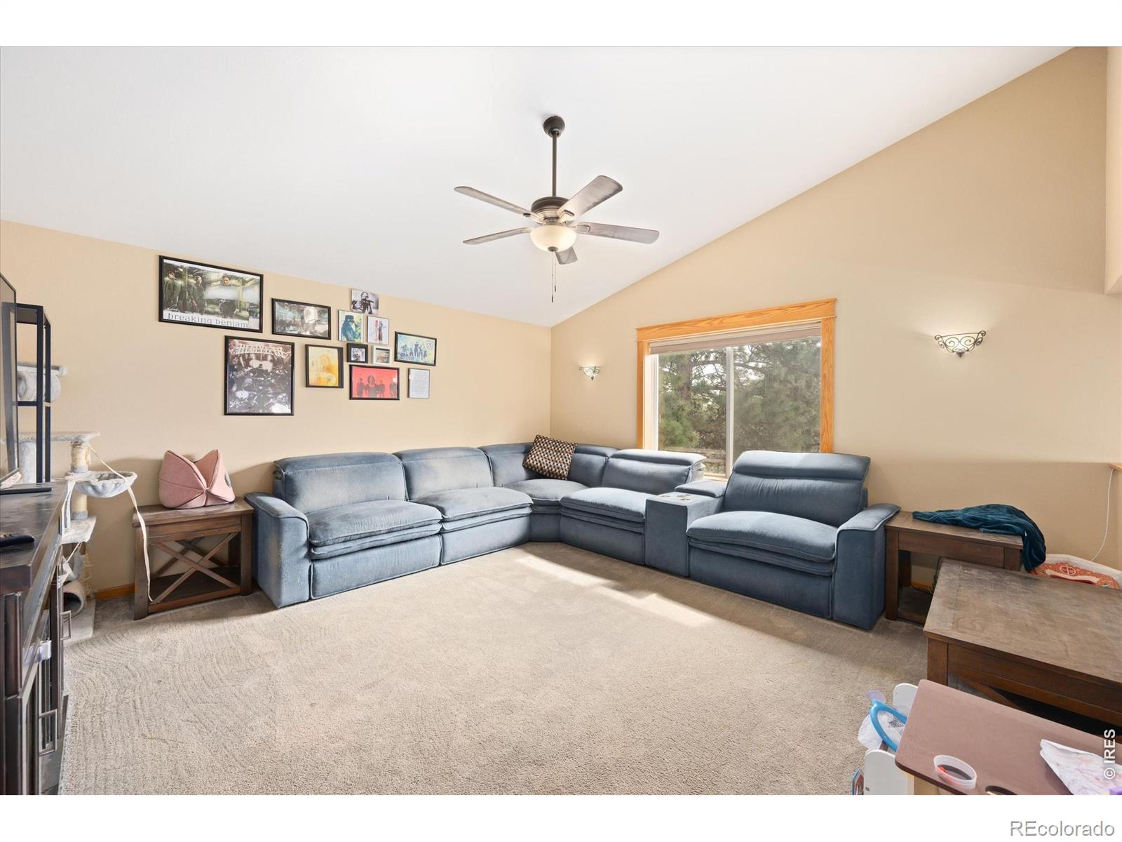 MLS Image #16 for 842  unger mountain road,bellvue, Colorado