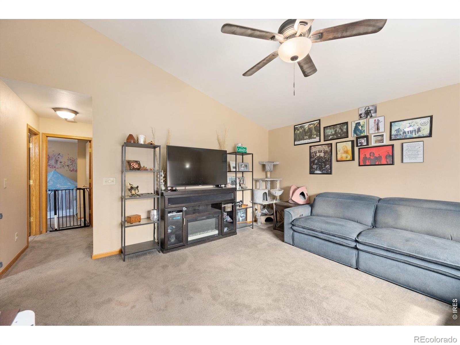 MLS Image #18 for 842  unger mountain road,bellvue, Colorado