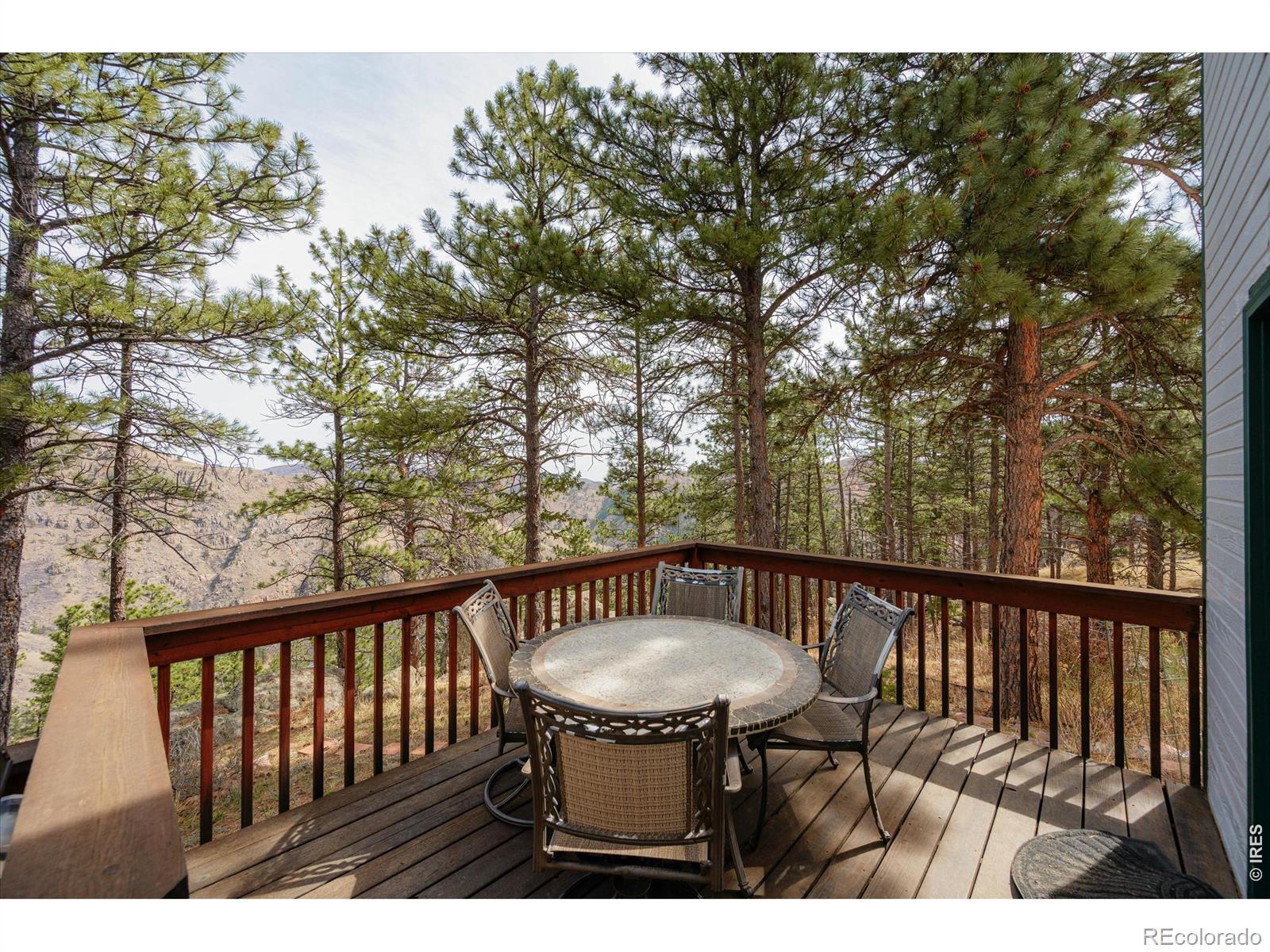 MLS Image #28 for 842  unger mountain road,bellvue, Colorado