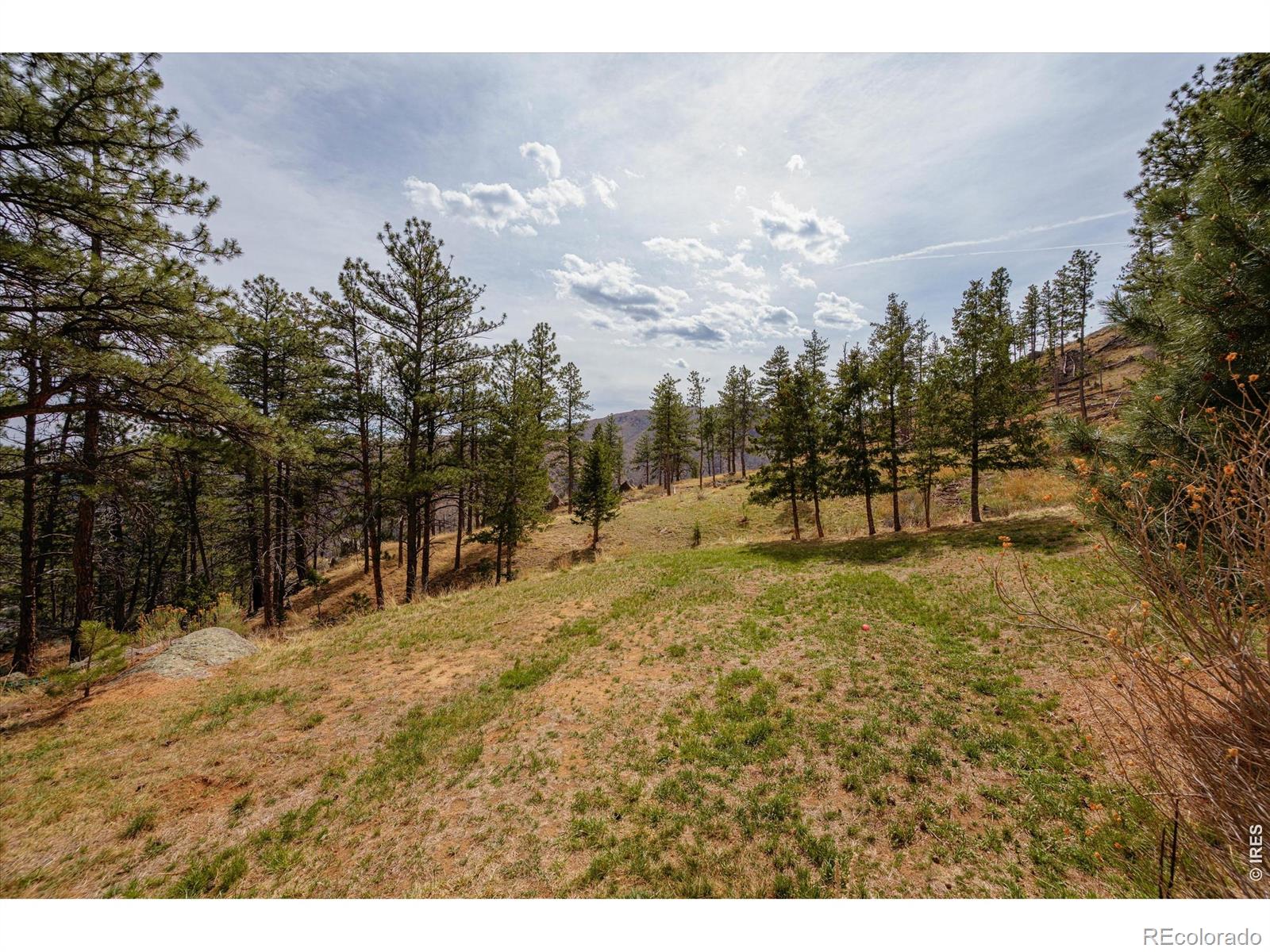 MLS Image #29 for 842  unger mountain road,bellvue, Colorado