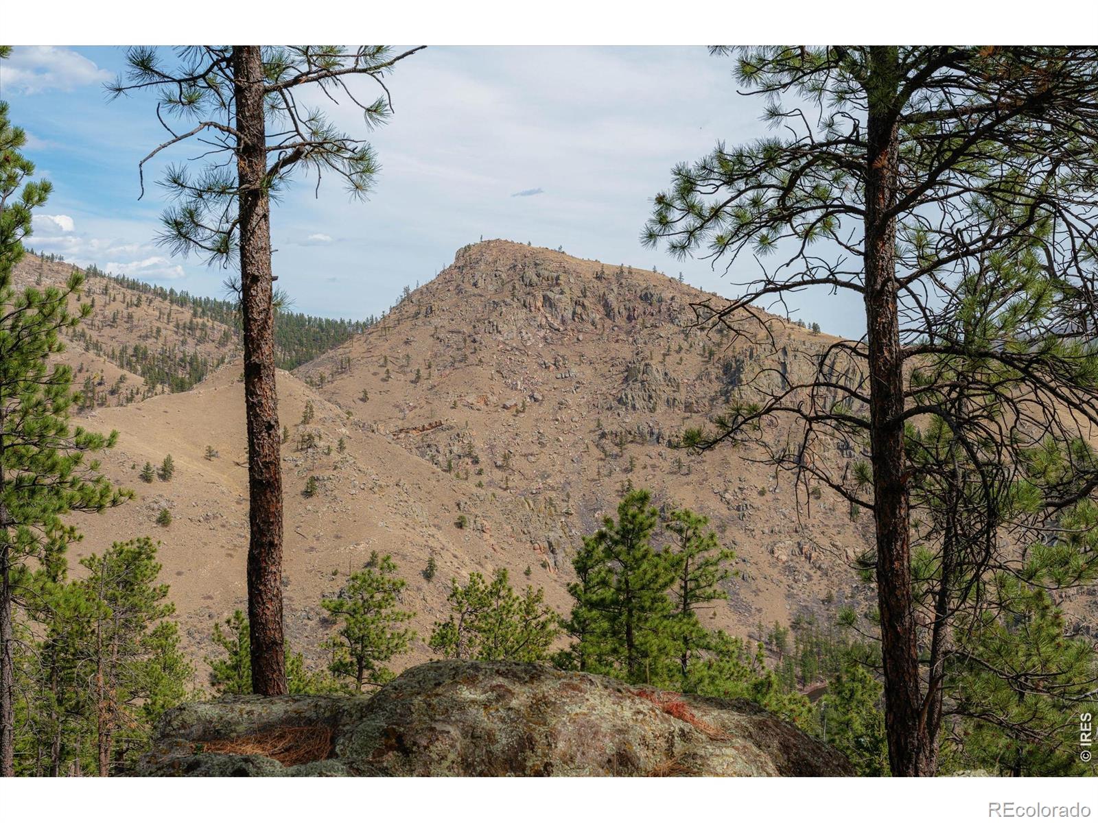 MLS Image #30 for 842  unger mountain road,bellvue, Colorado