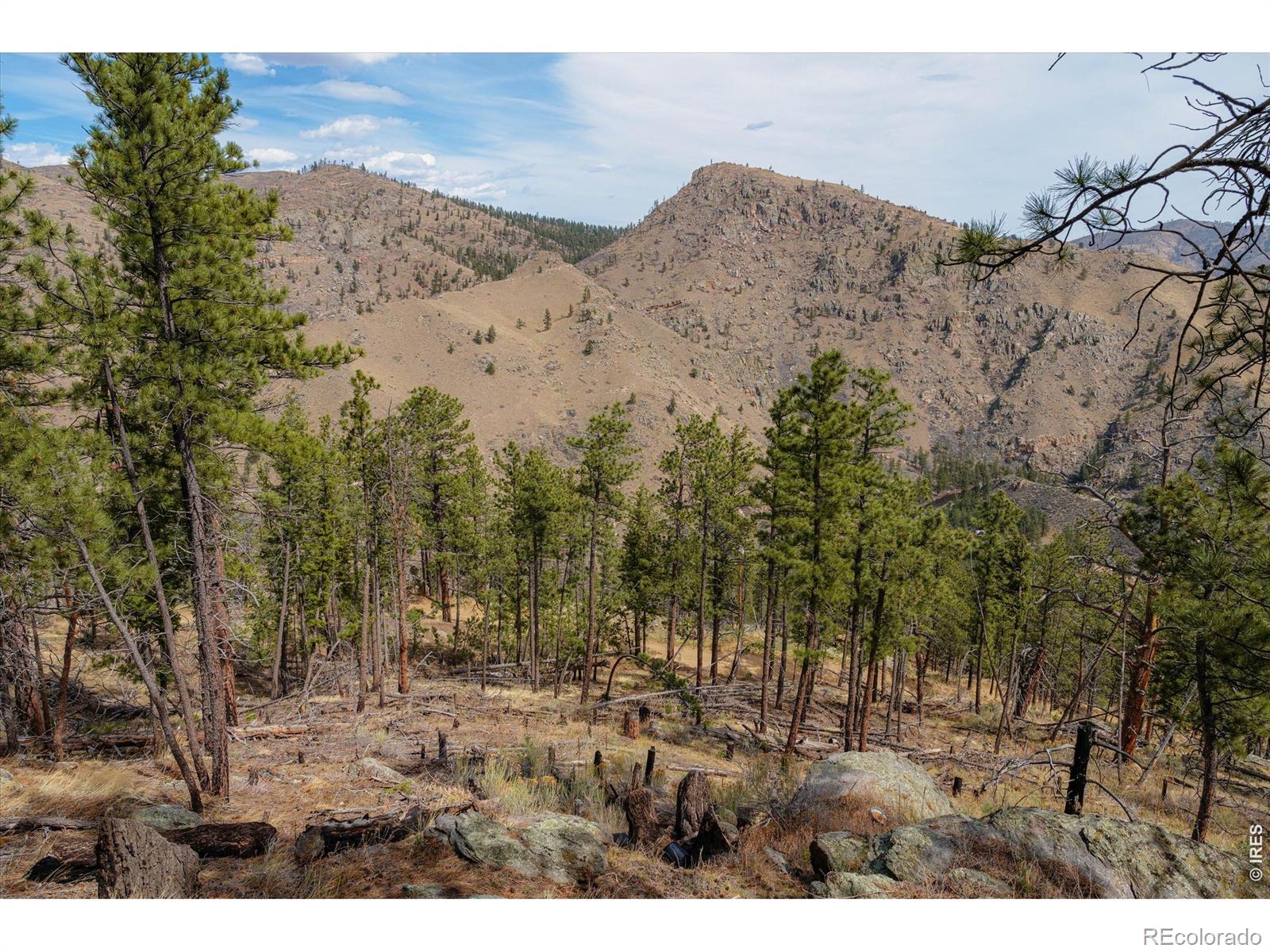MLS Image #32 for 842  unger mountain road,bellvue, Colorado
