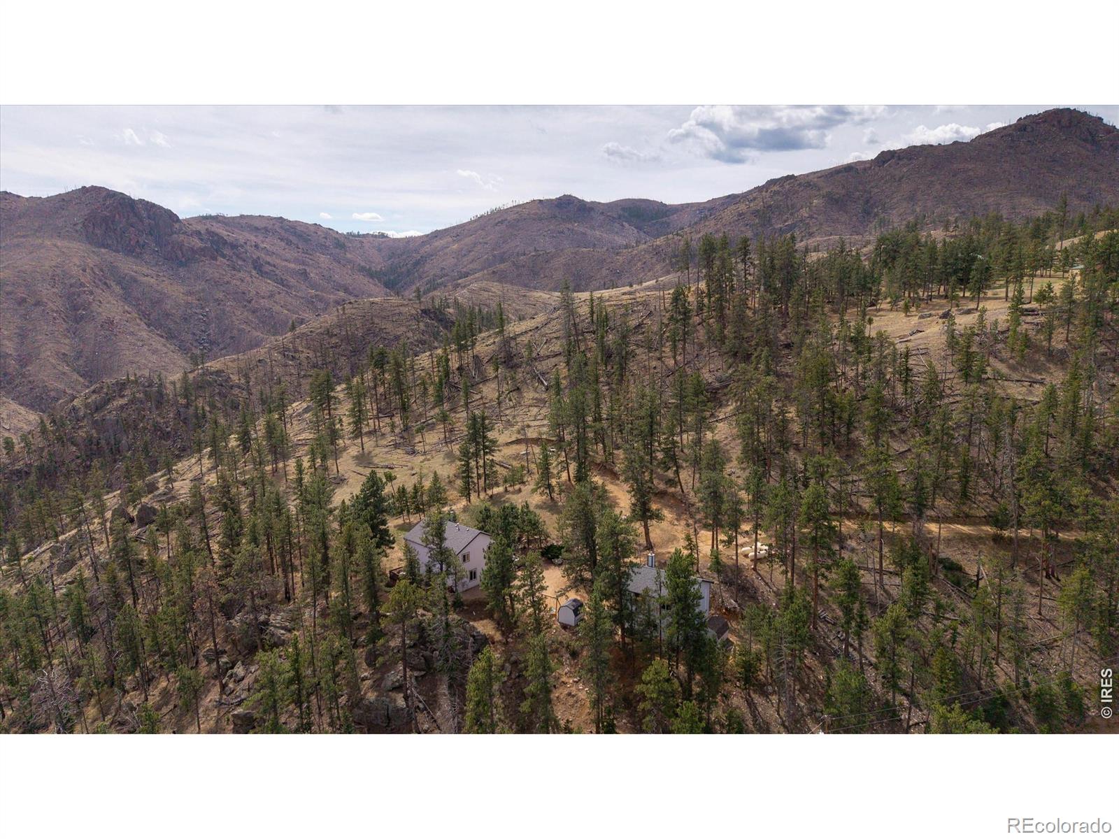 MLS Image #39 for 842  unger mountain road,bellvue, Colorado