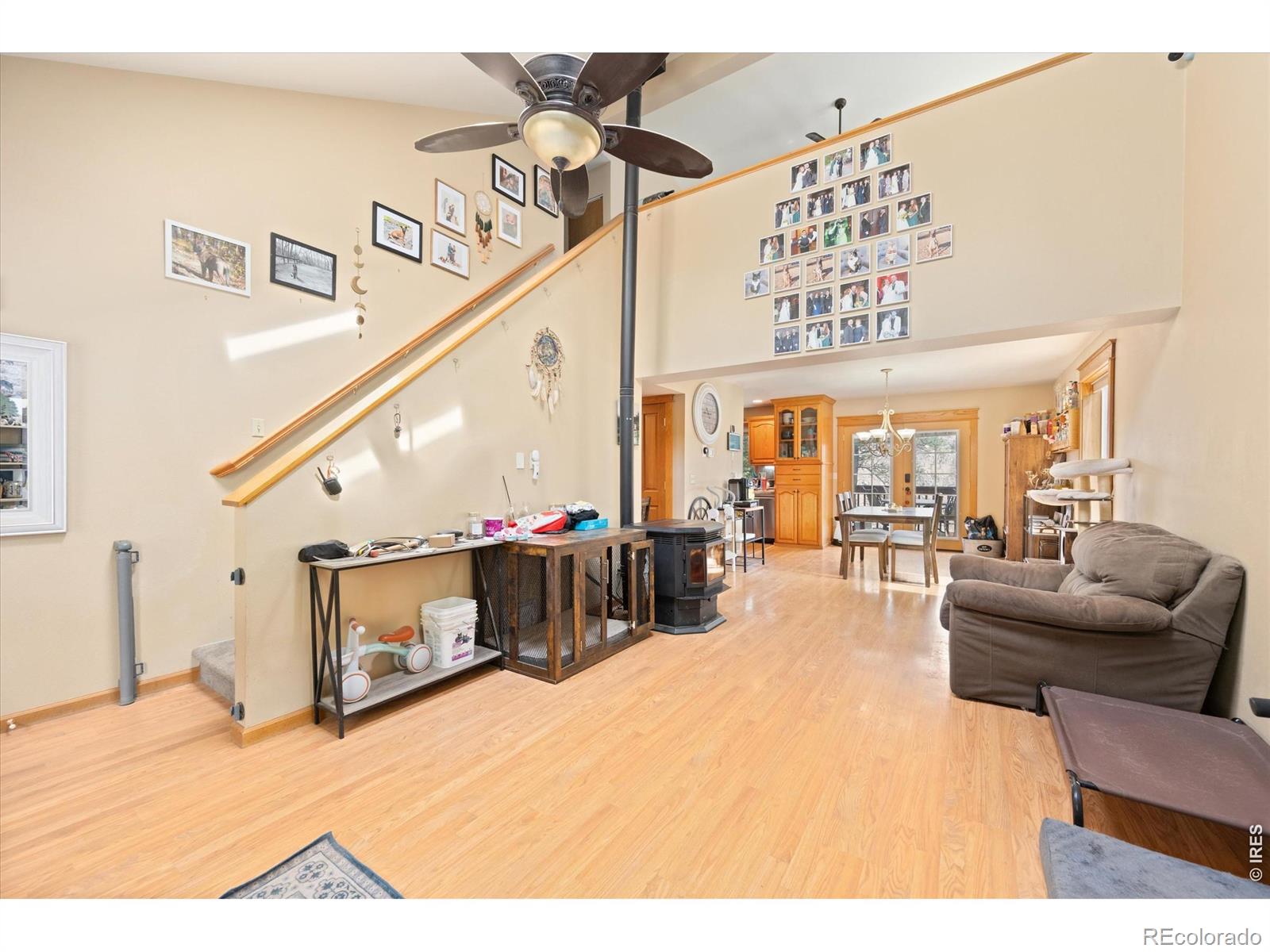 MLS Image #4 for 842  unger mountain road,bellvue, Colorado