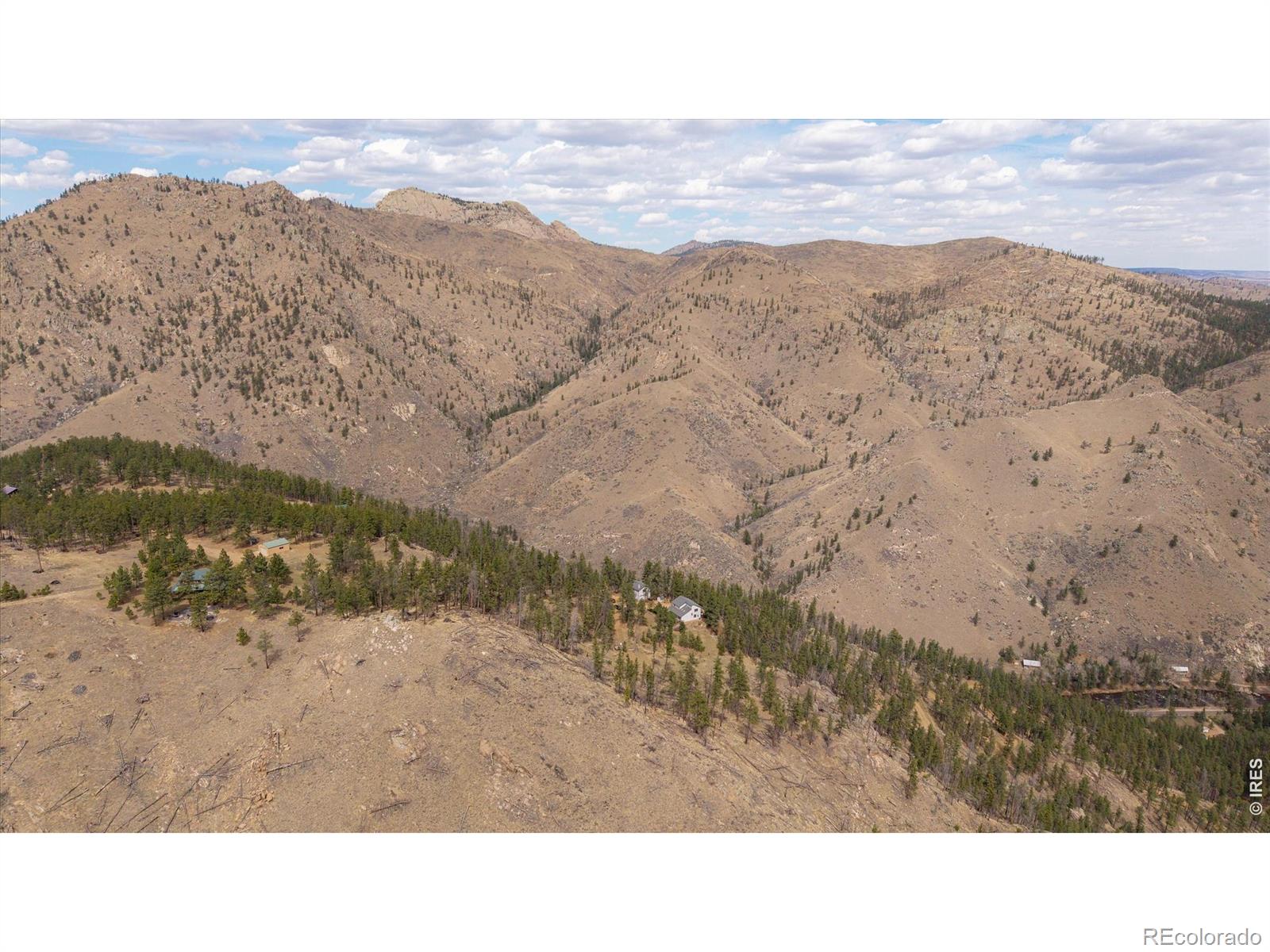 MLS Image #41 for 842  unger mountain road,bellvue, Colorado