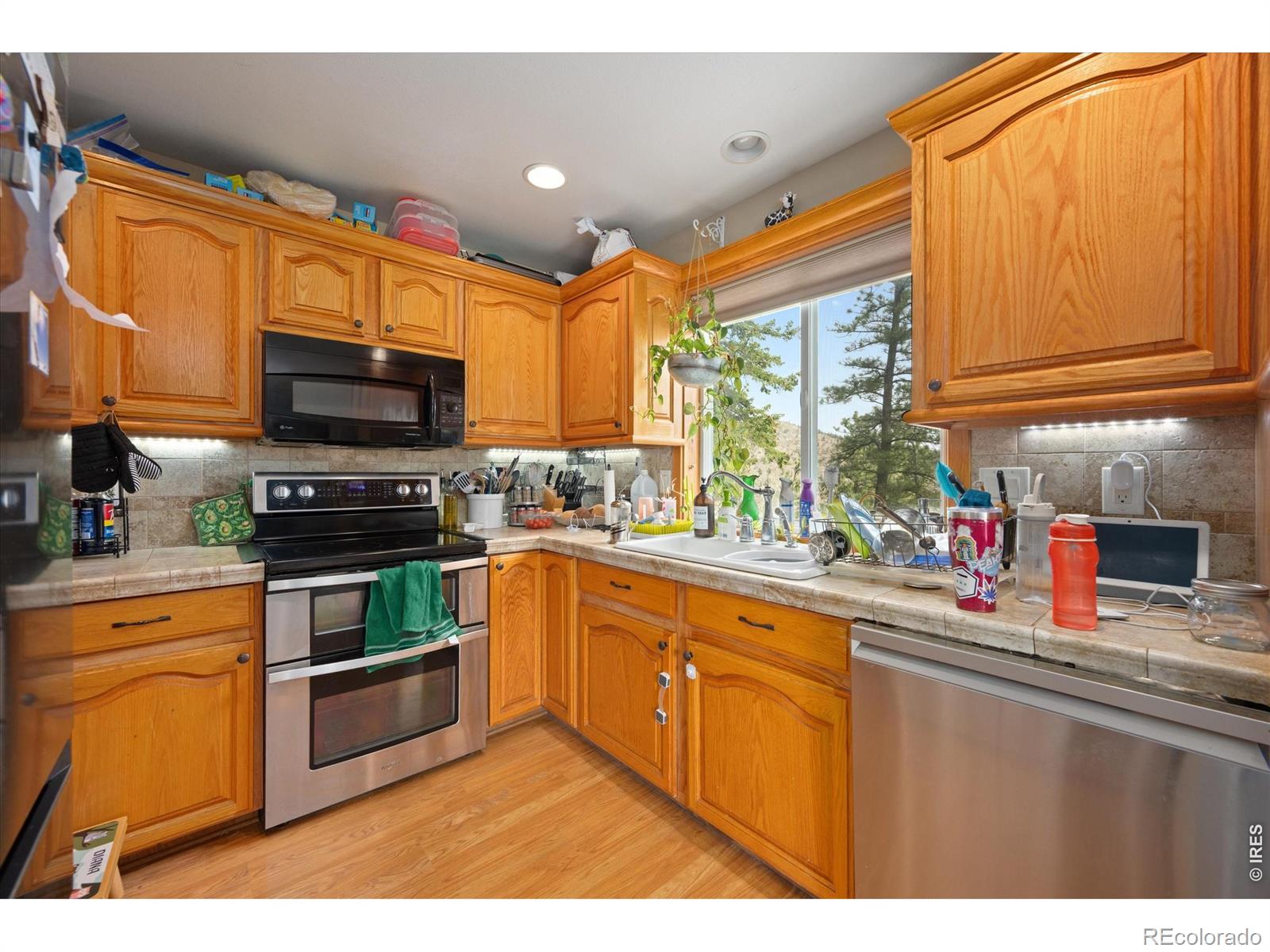 MLS Image #6 for 842  unger mountain road,bellvue, Colorado