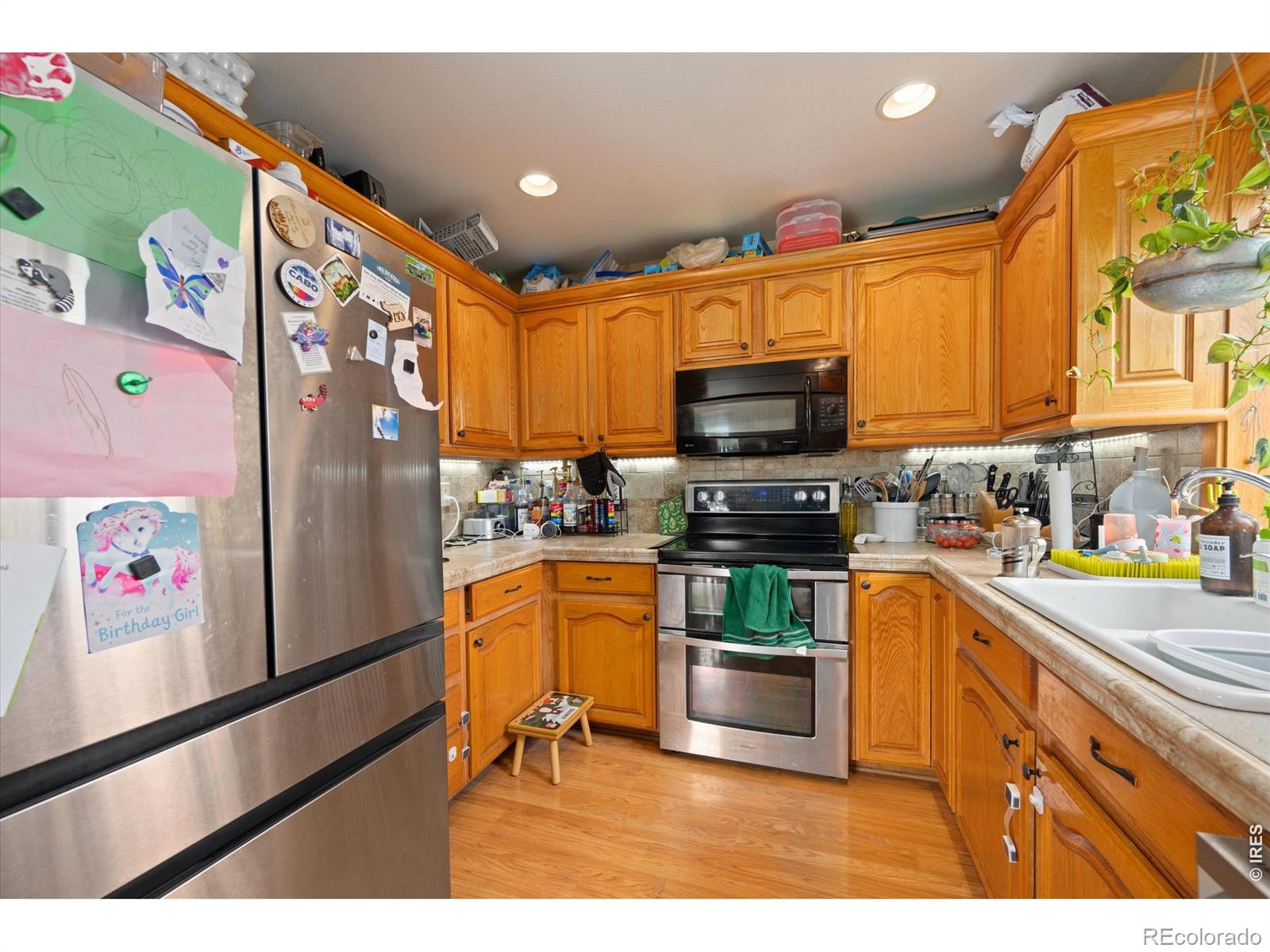 MLS Image #7 for 842  unger mountain road,bellvue, Colorado