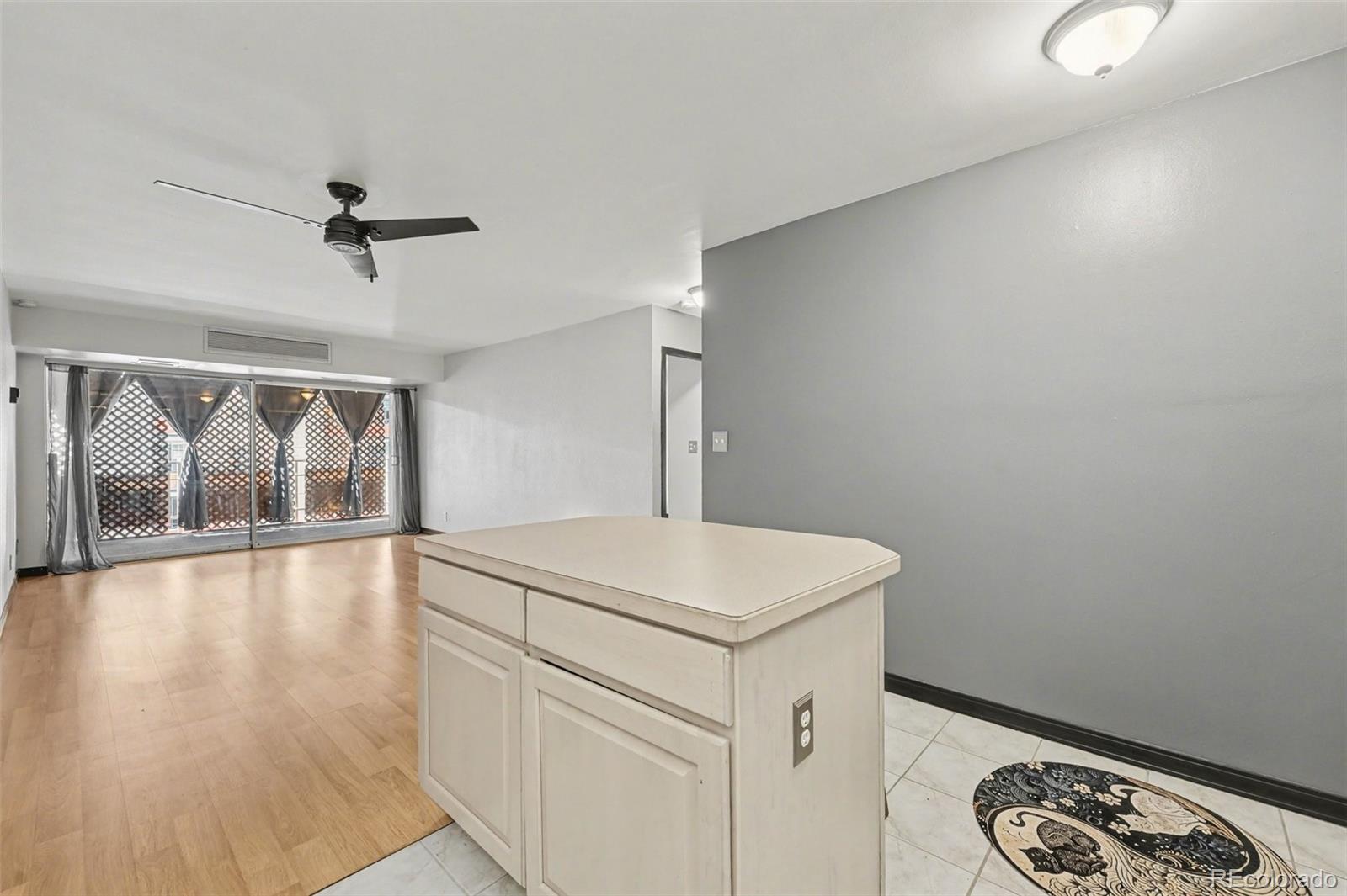 MLS Image #5 for 1121  albion street,denver, Colorado