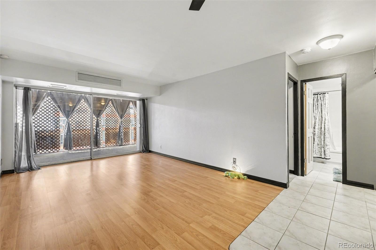 MLS Image #9 for 1121  albion street,denver, Colorado