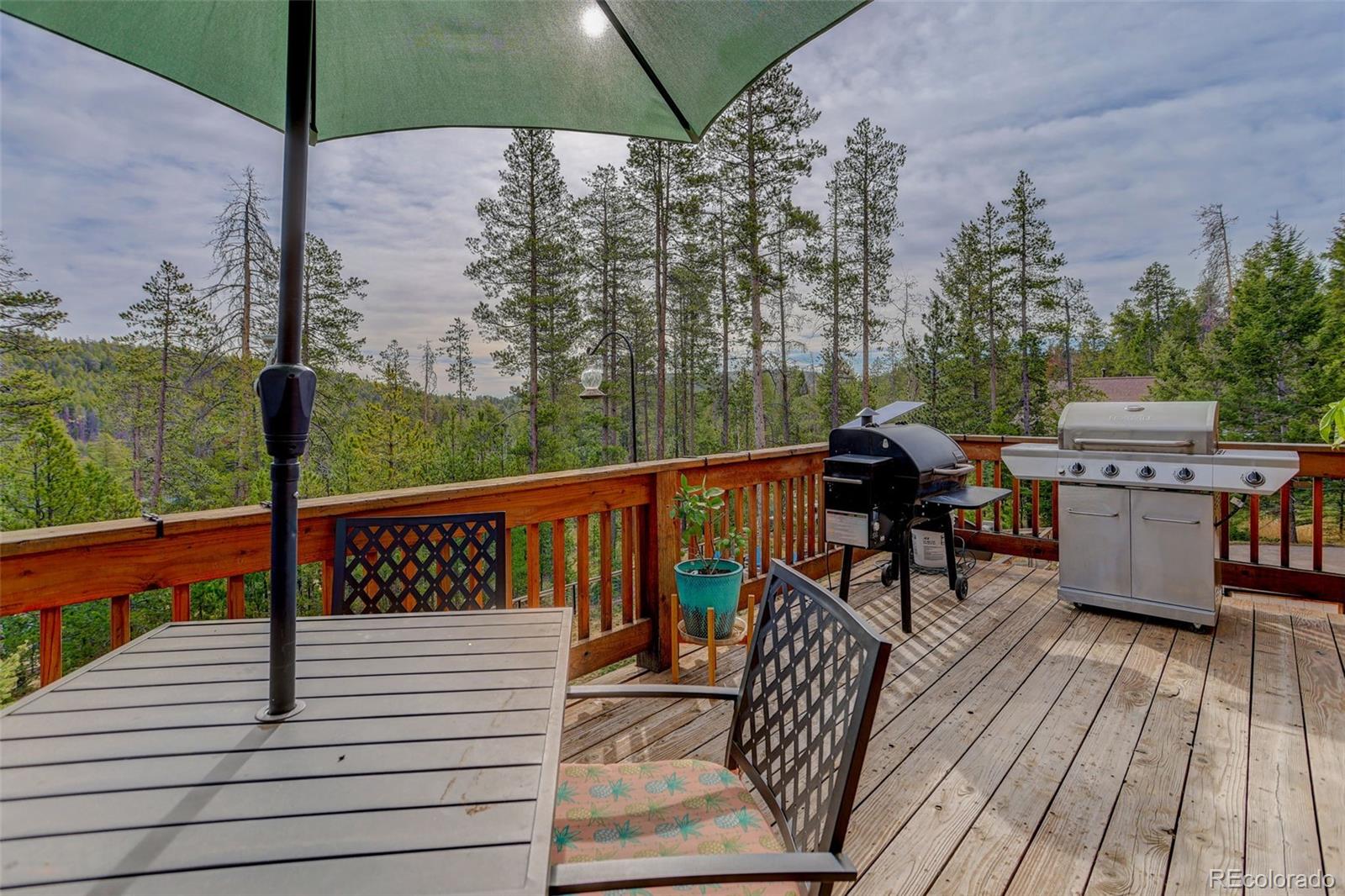 MLS Image #28 for 10972  milliken avenue,conifer, Colorado