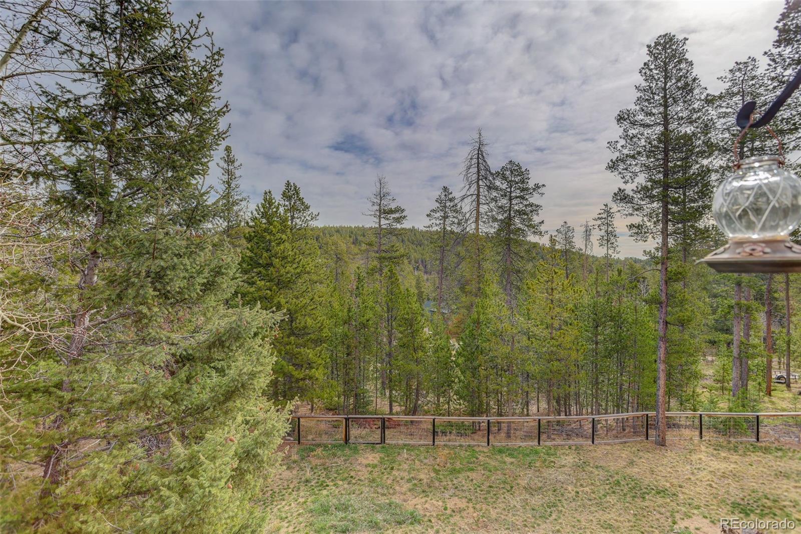 MLS Image #41 for 10972  milliken avenue,conifer, Colorado