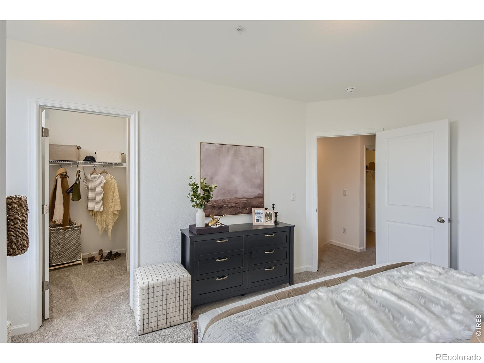 MLS Image #14 for 1002  schlagel street,fort collins, Colorado